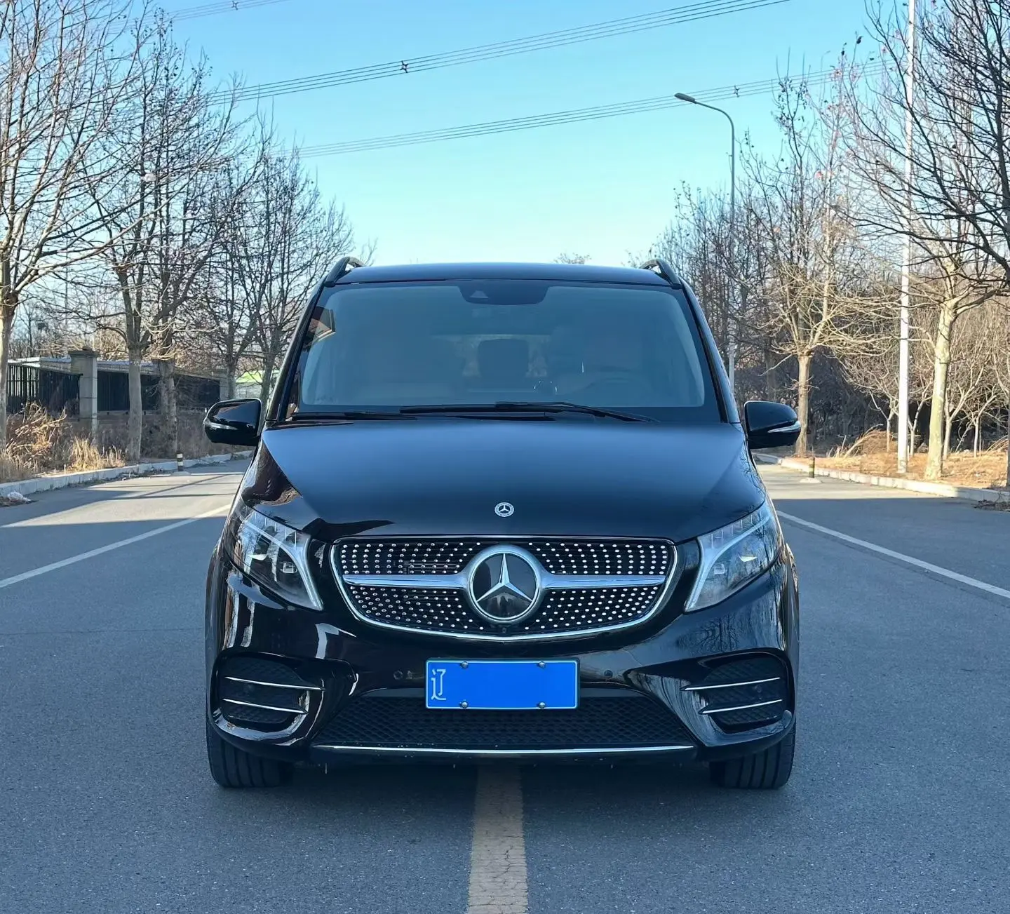 Mercedes-Benz Mercedes Benz V Class  из Китая
