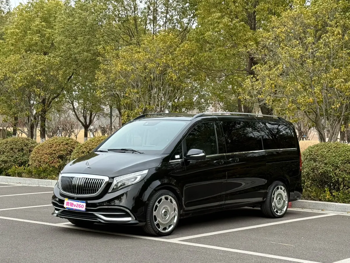 Mercedes-Benz Mercedes Benz V Class  из Китая