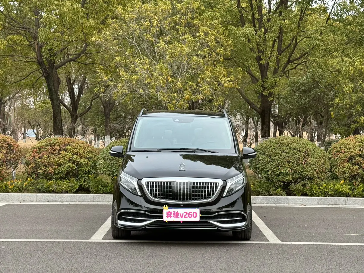 Mercedes-Benz Mercedes Benz V Class  из Китая