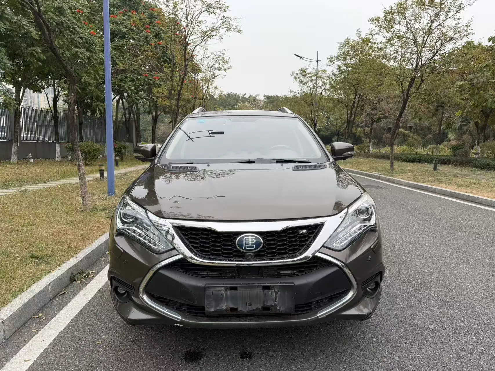 BYD Tang DM  из Китая
