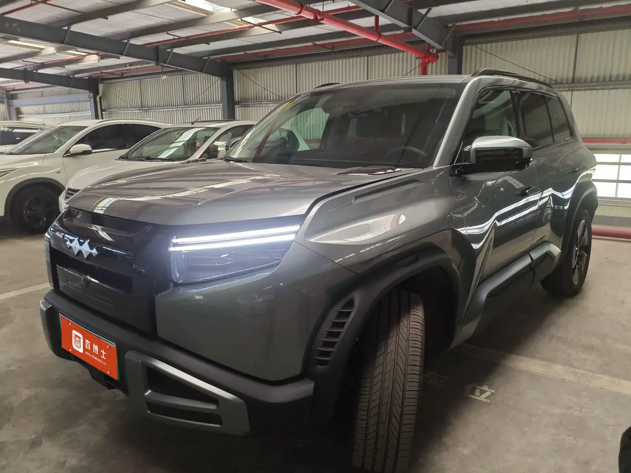 BYD Leopard Titanium 3  из Китая