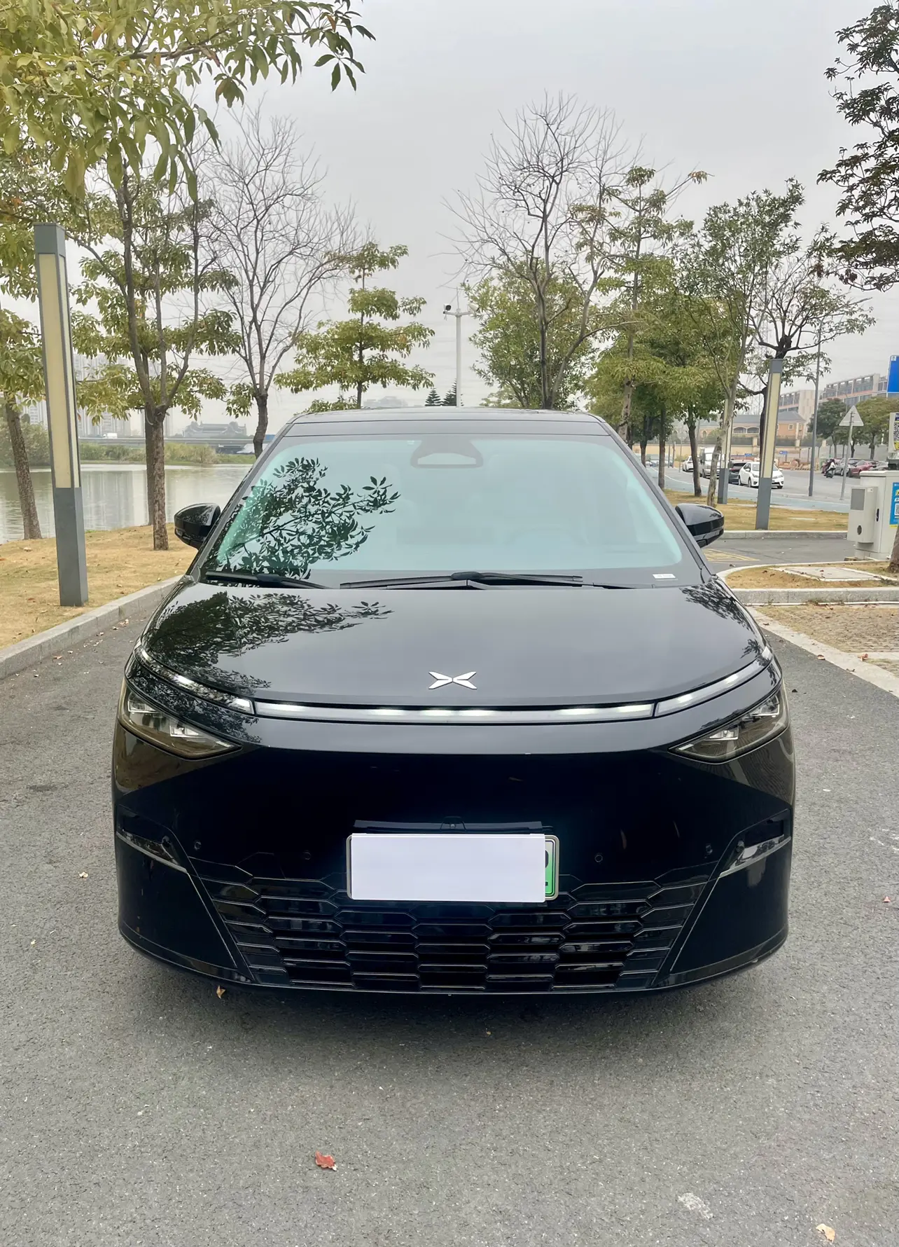 Xpeng X9  из Китая