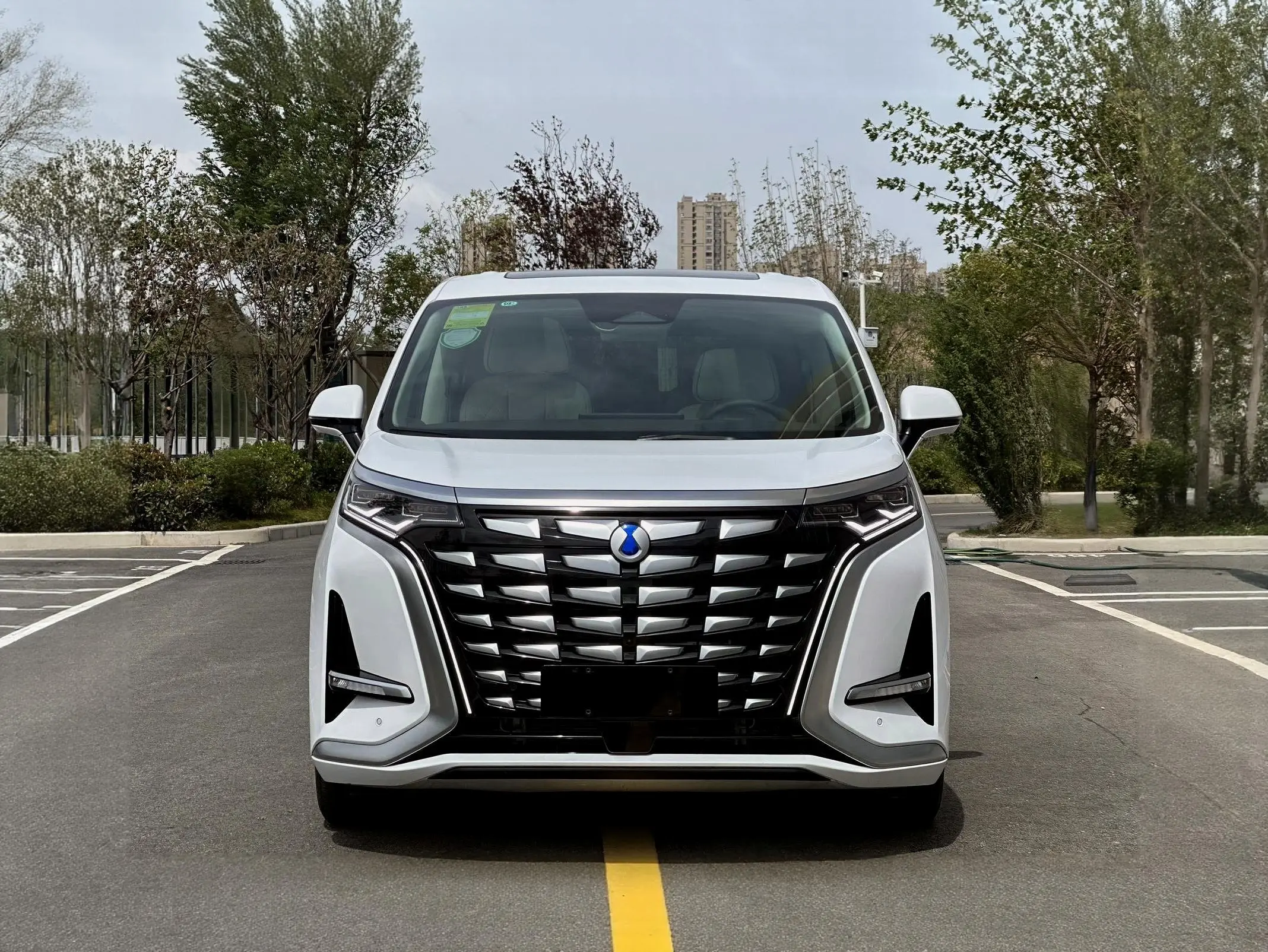 Denza D9 DM  из Китая