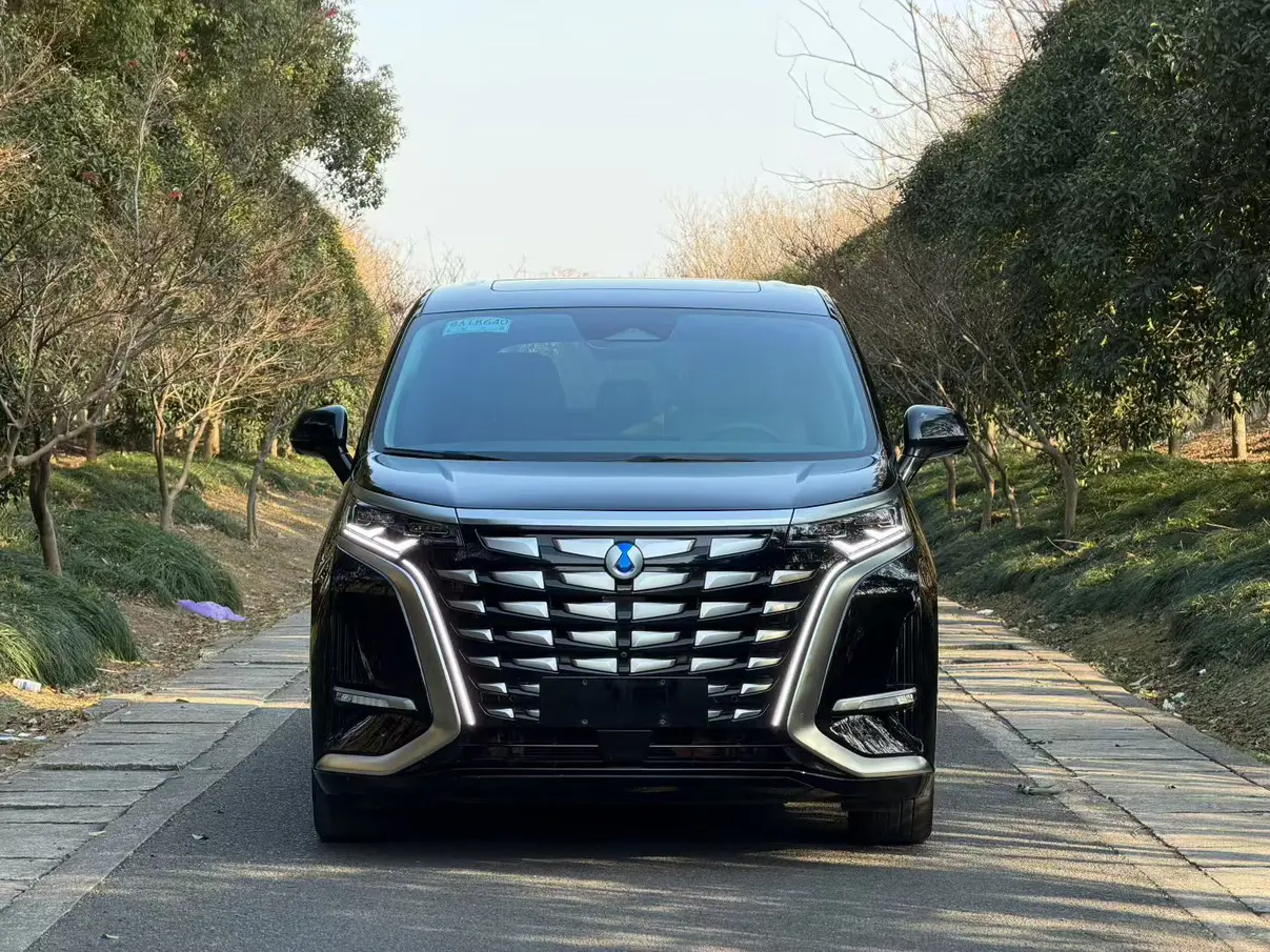 Denza D9 DM  из Китая