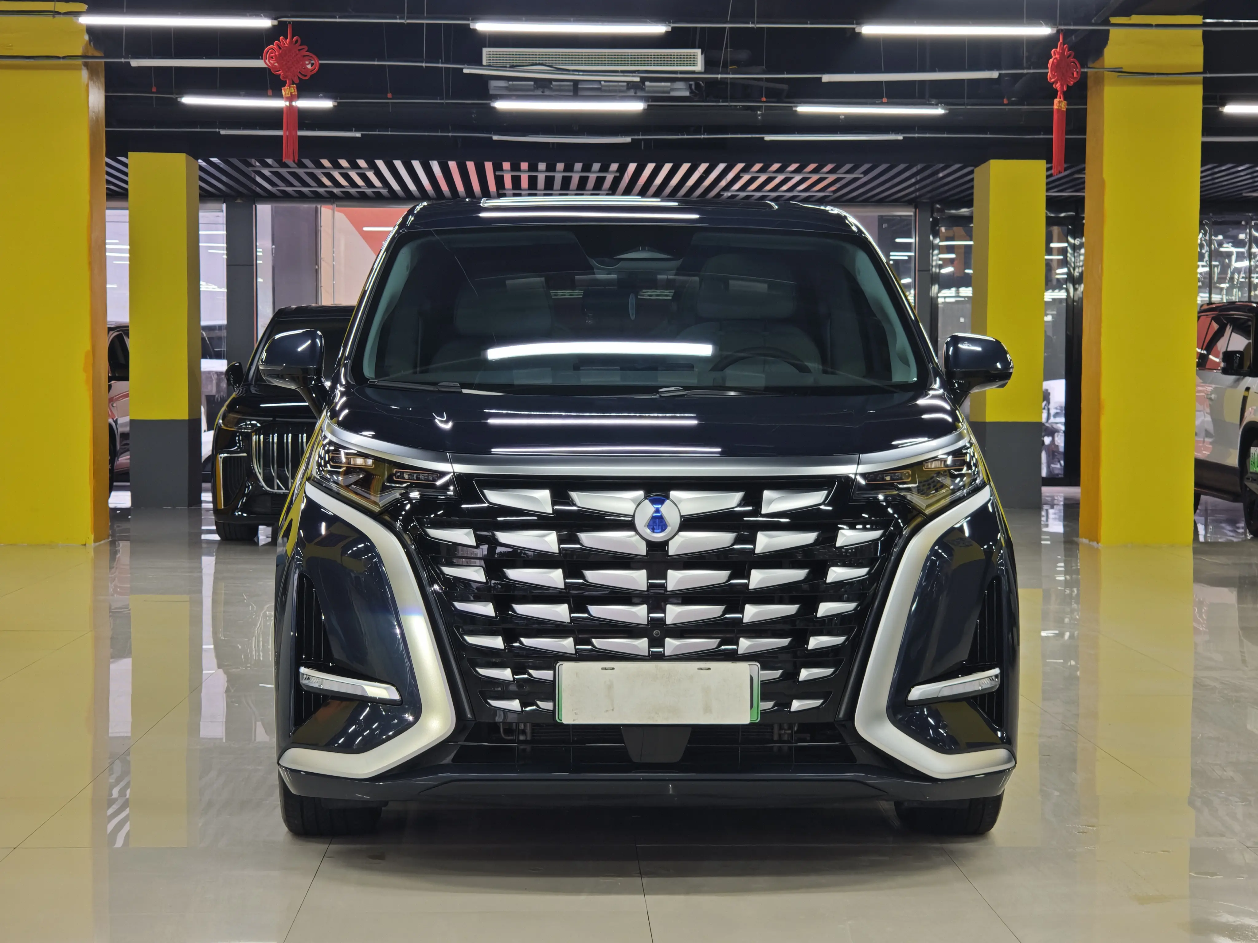 Denza D9 DM  из Китая