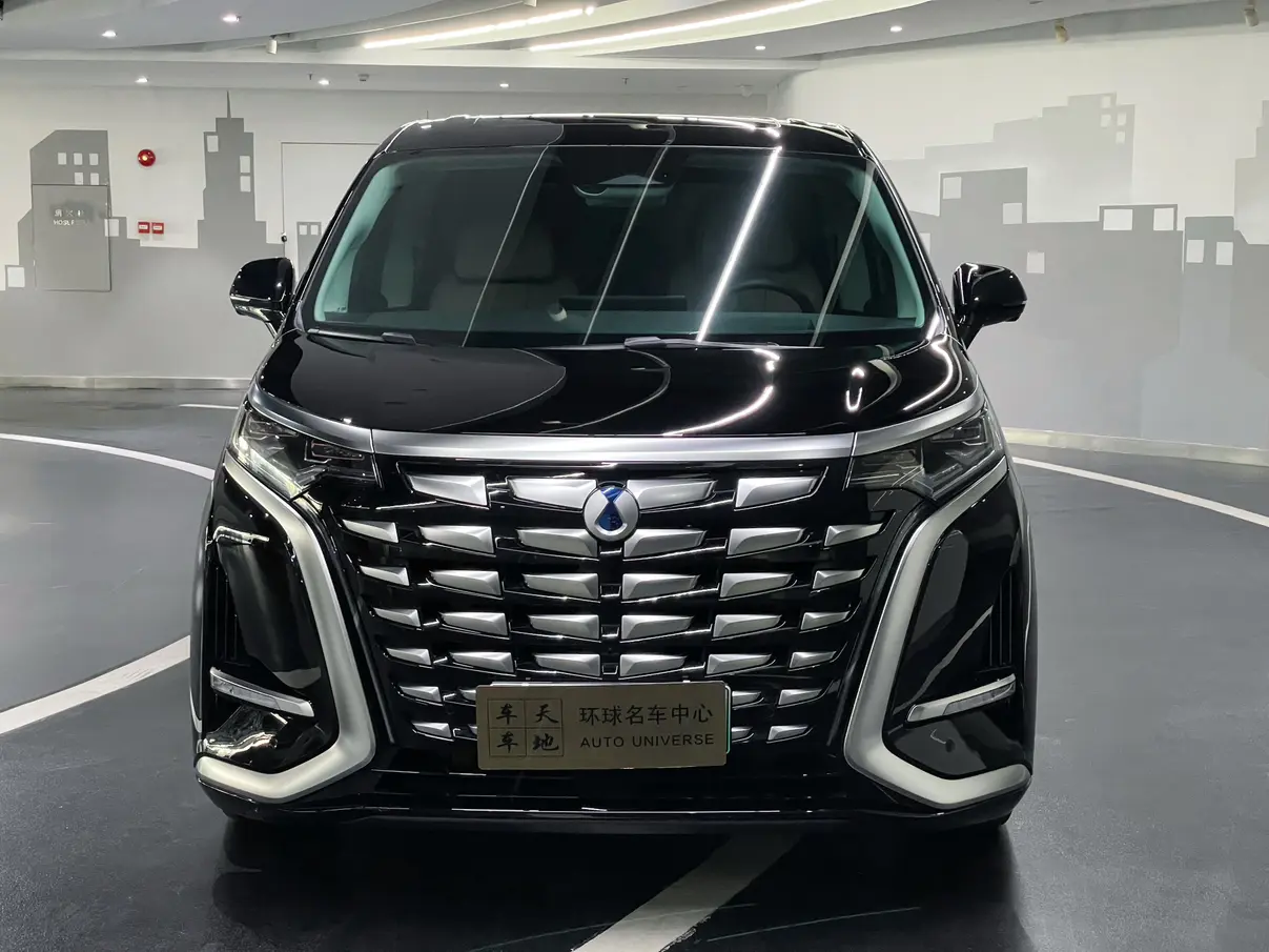 Denza D9 DM  из Китая