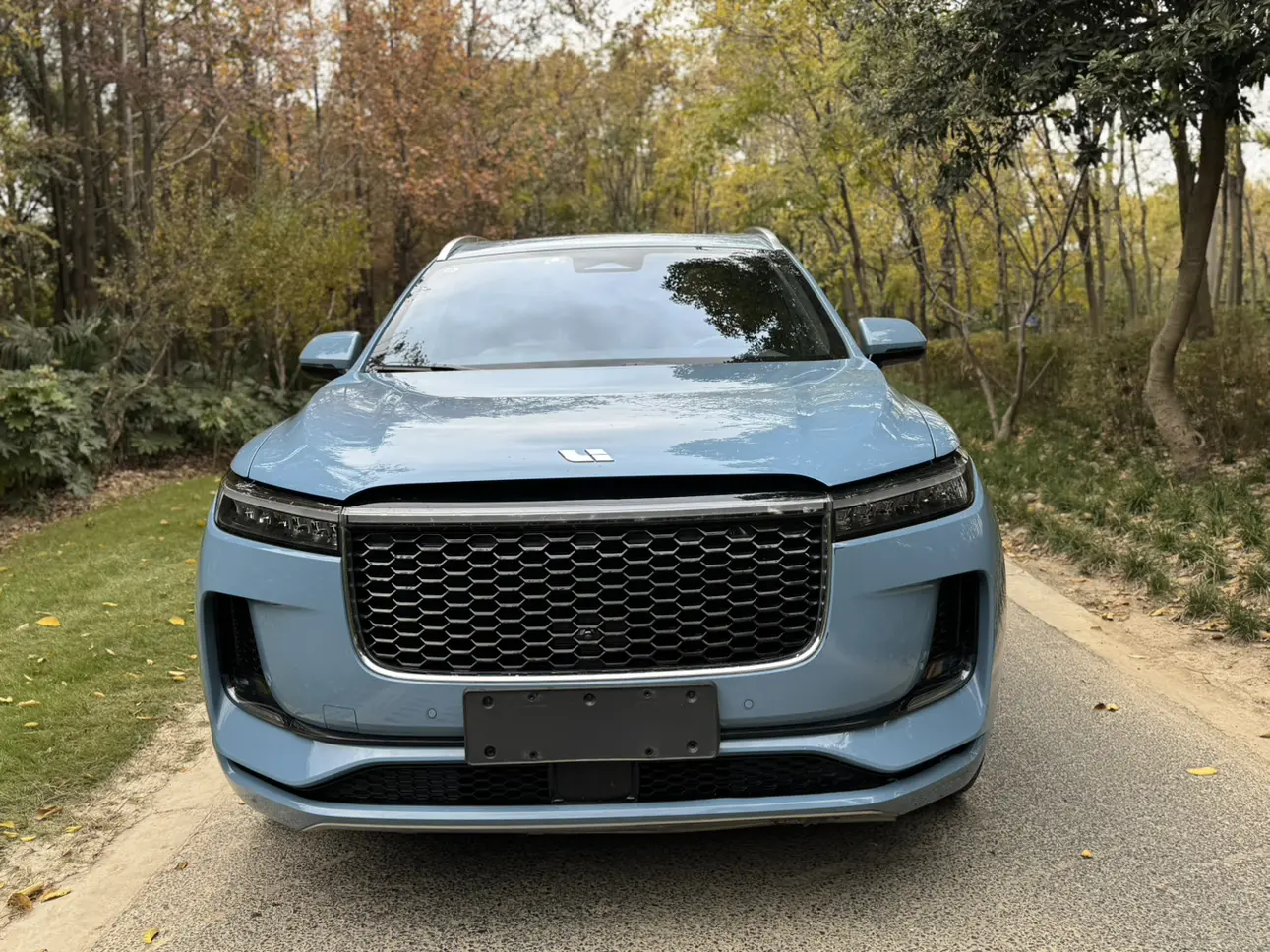 Li ONE (Ideal ONE)  из Китая