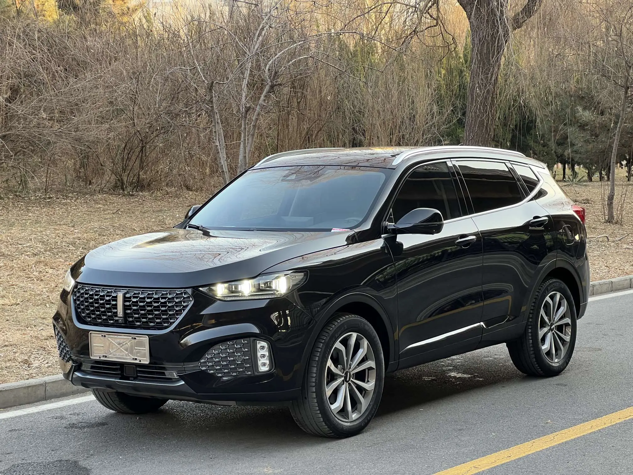 Wey Wei brand VV6  из Китая