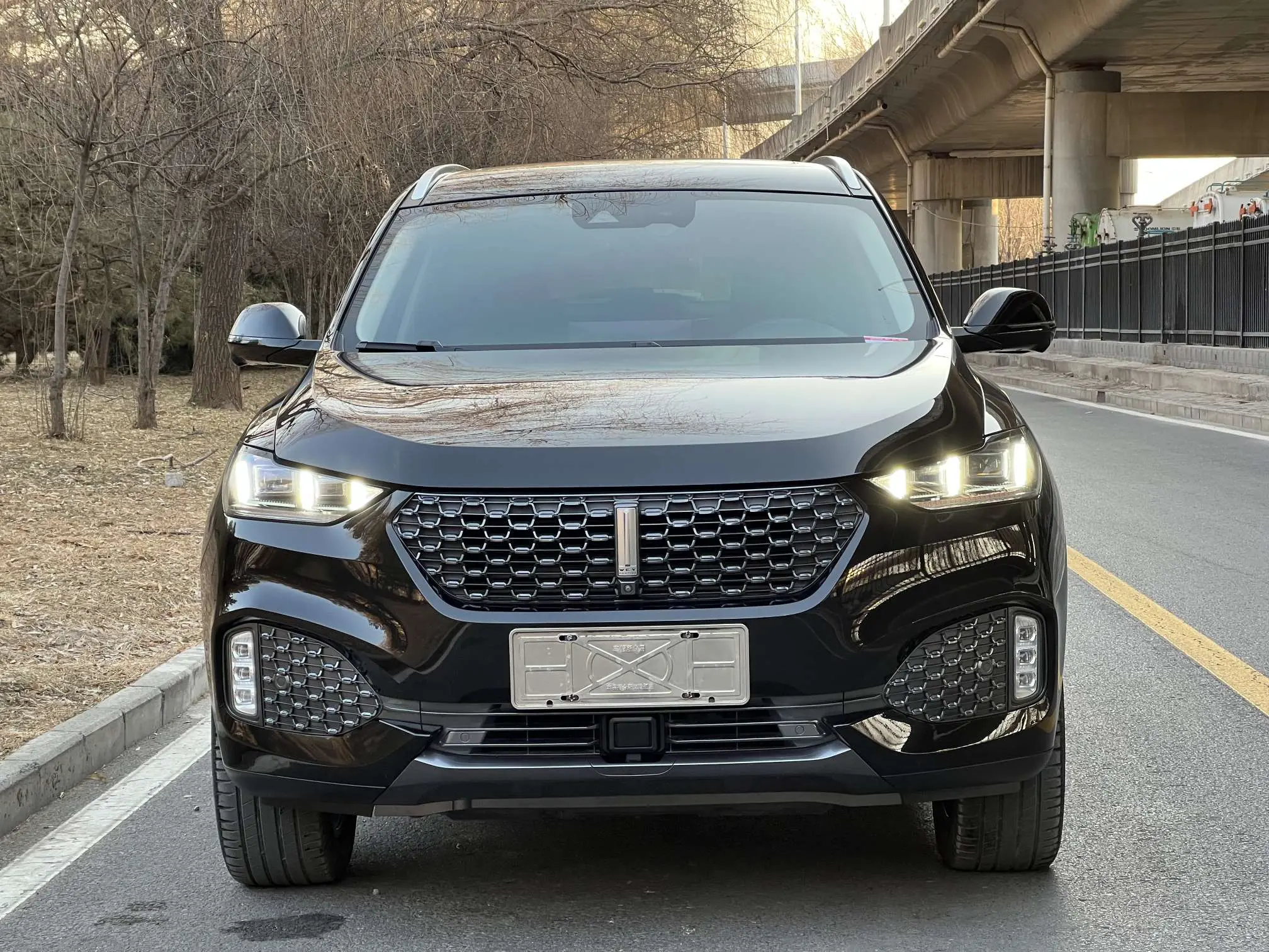 Wey Wei brand VV6  из Китая