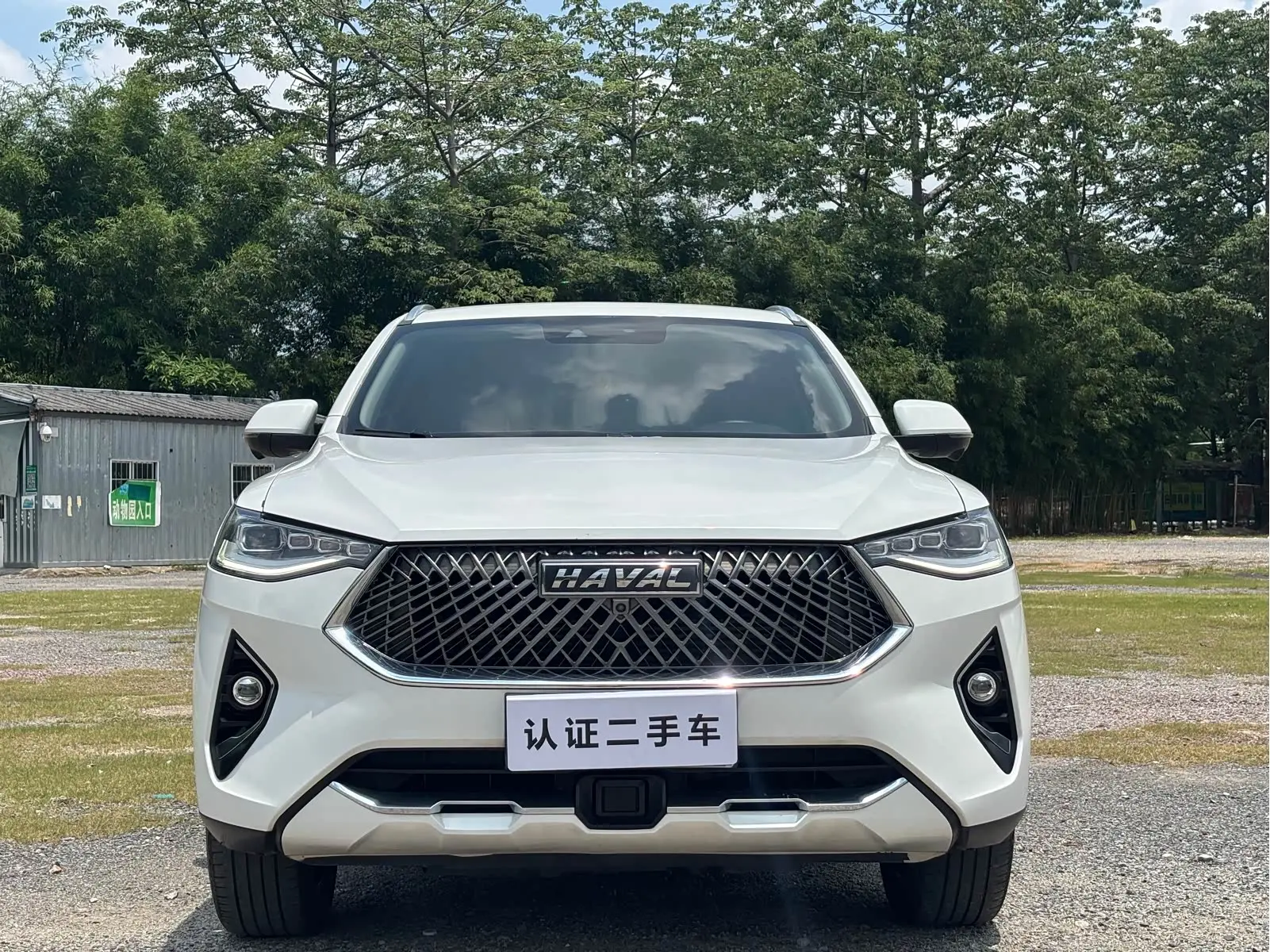 Haval F7x  из Китая