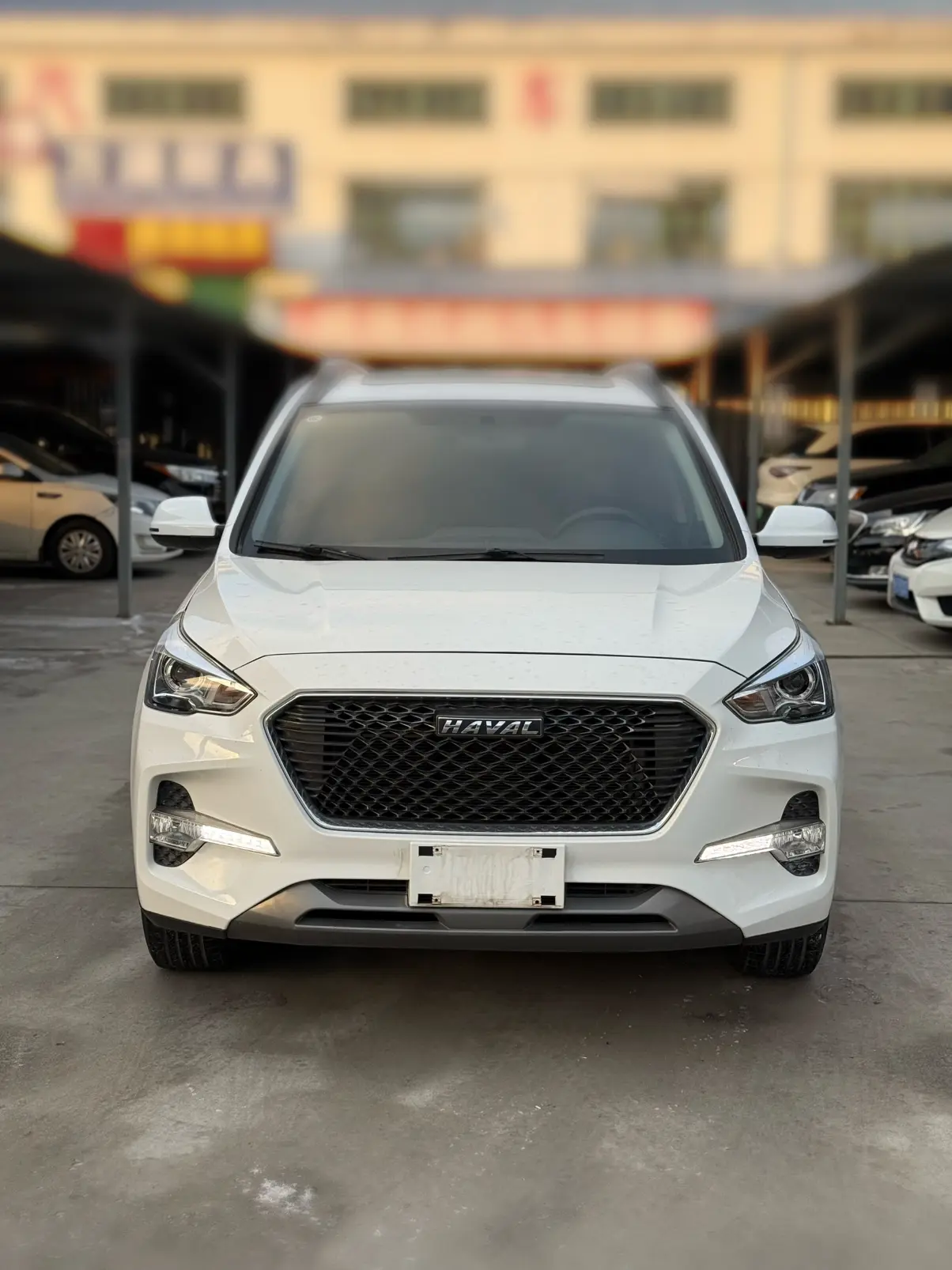 Haval M6  из Китая