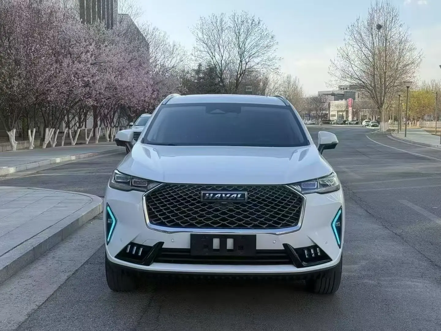 Haval H6  из Китая