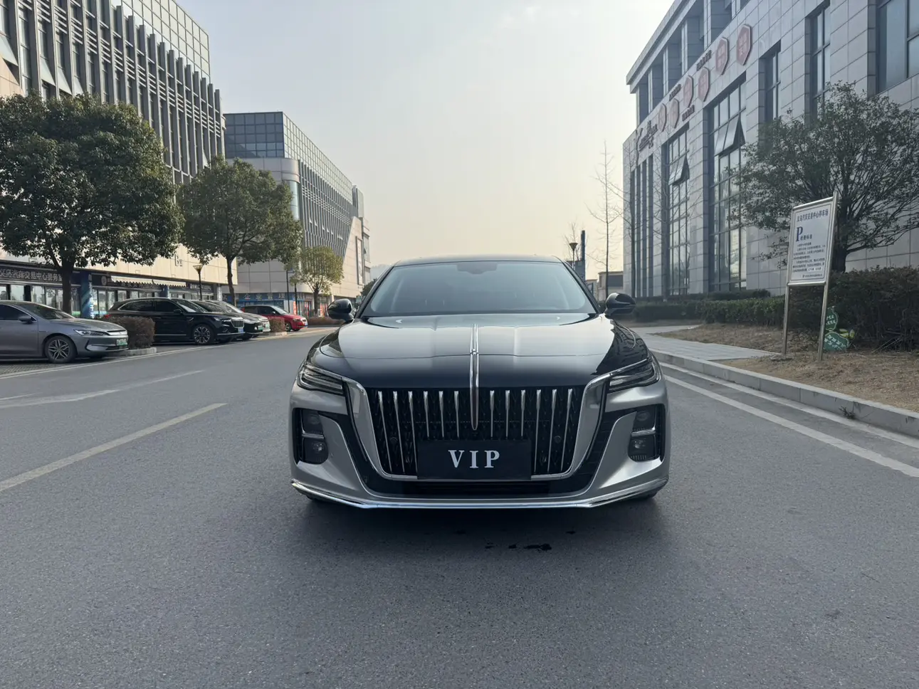 Hongqi H5  из Китая