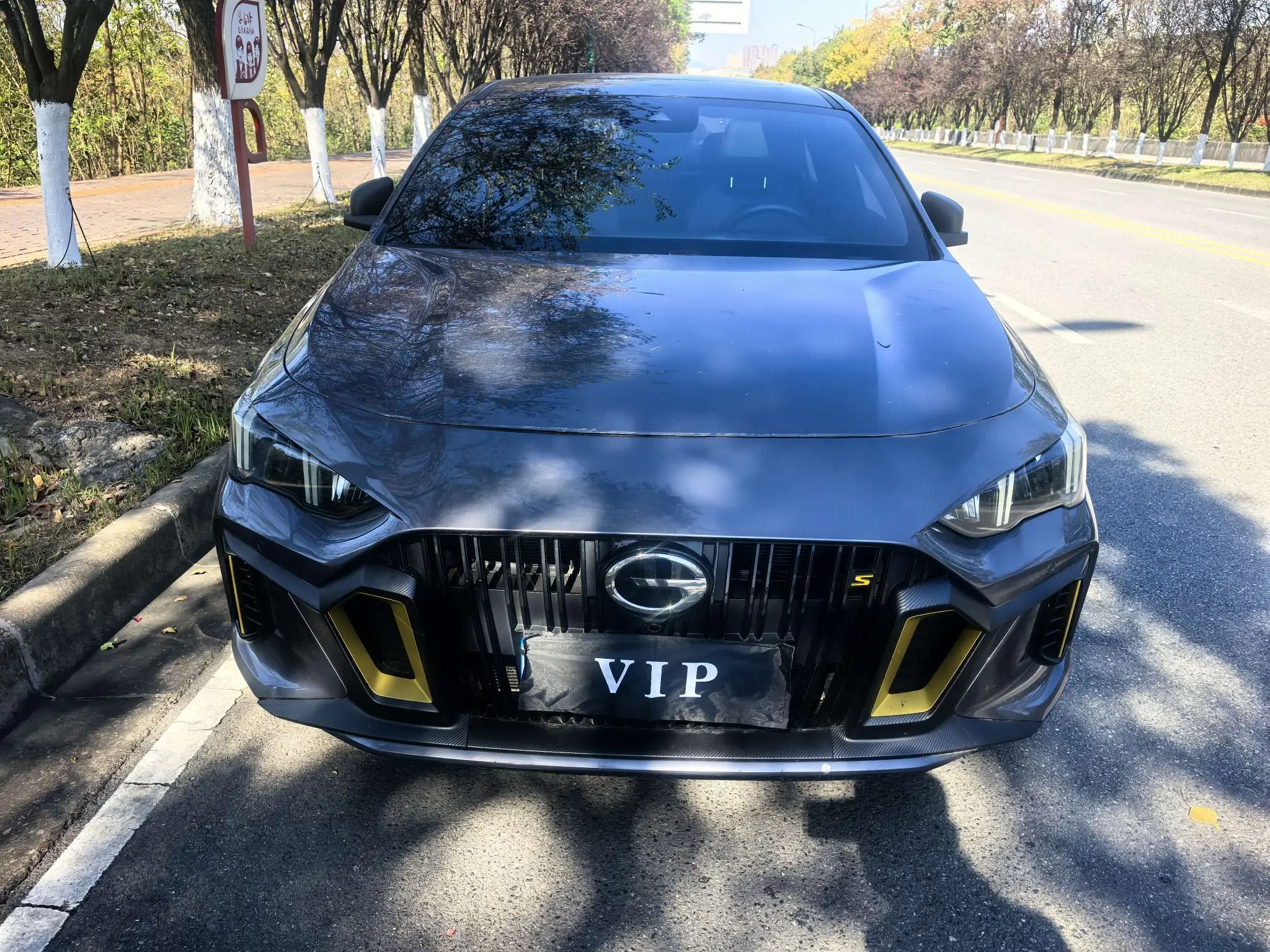 GAC Shadow Leopard  из Китая