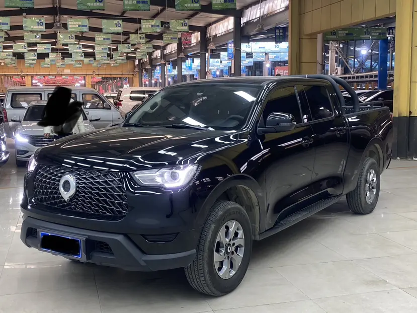 Great Wall Gun  из Китая