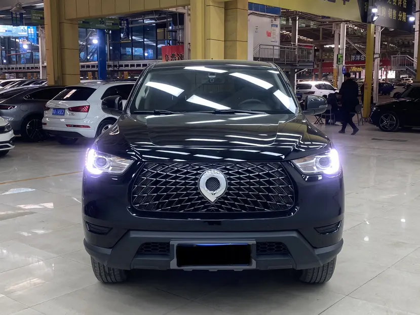 Great Wall Gun  из Китая