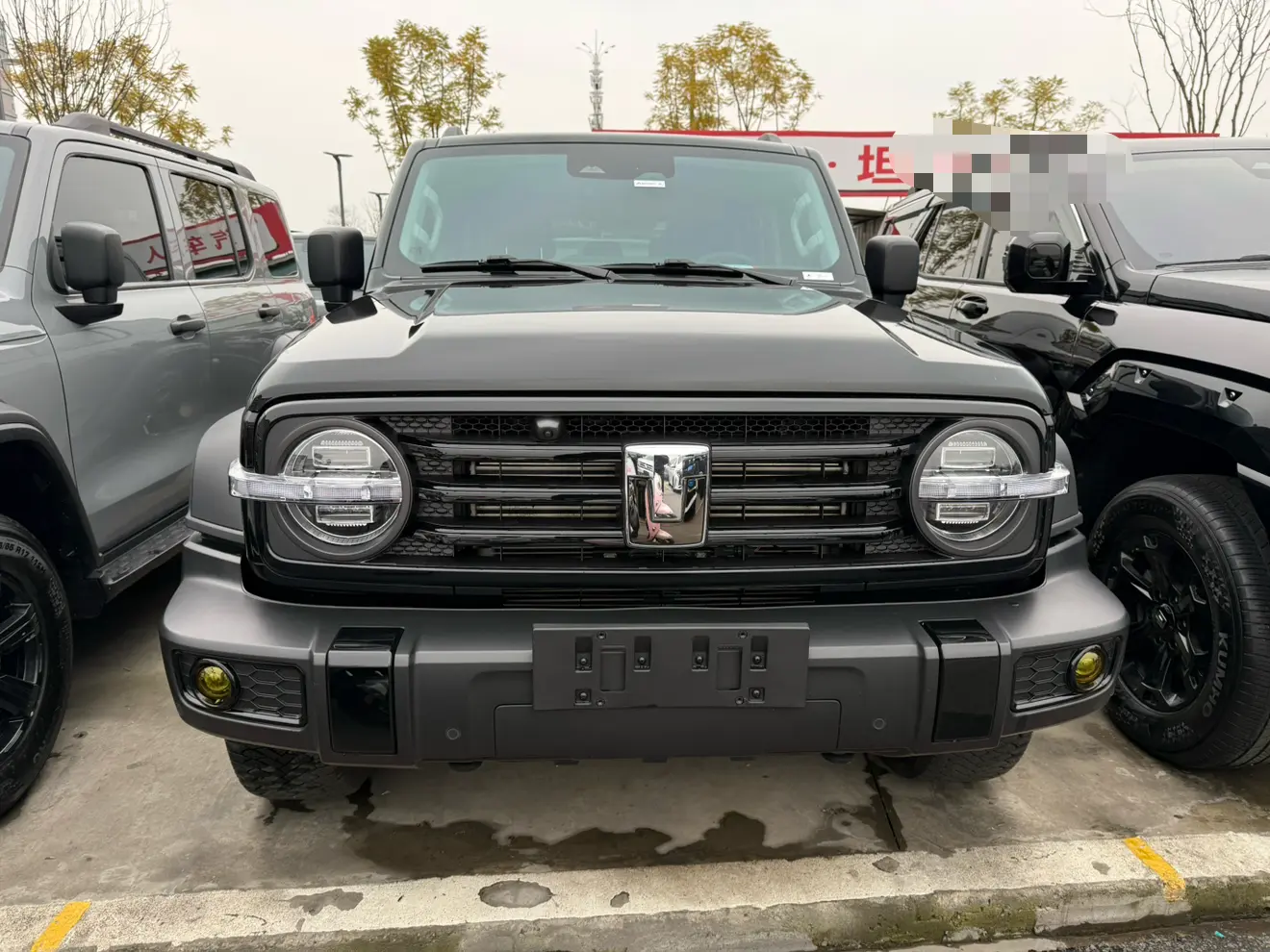 Tank 300  из Китая