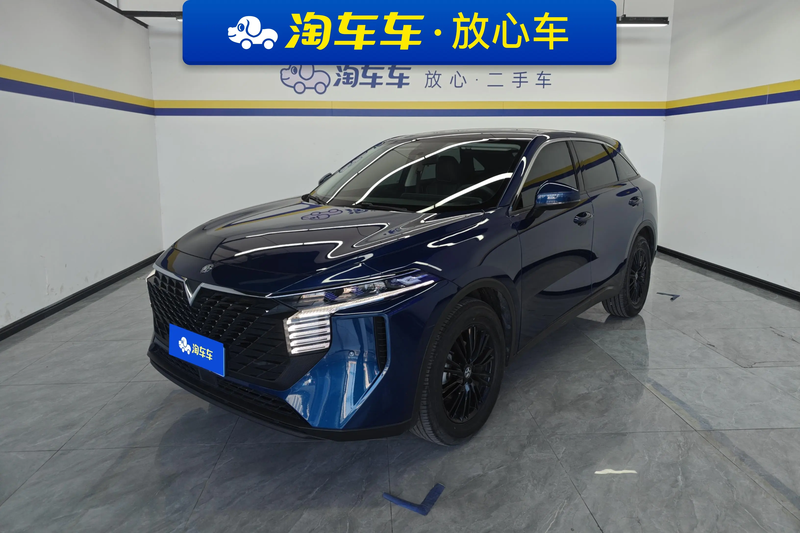 Kai Chen Venucia Big V  из Китая