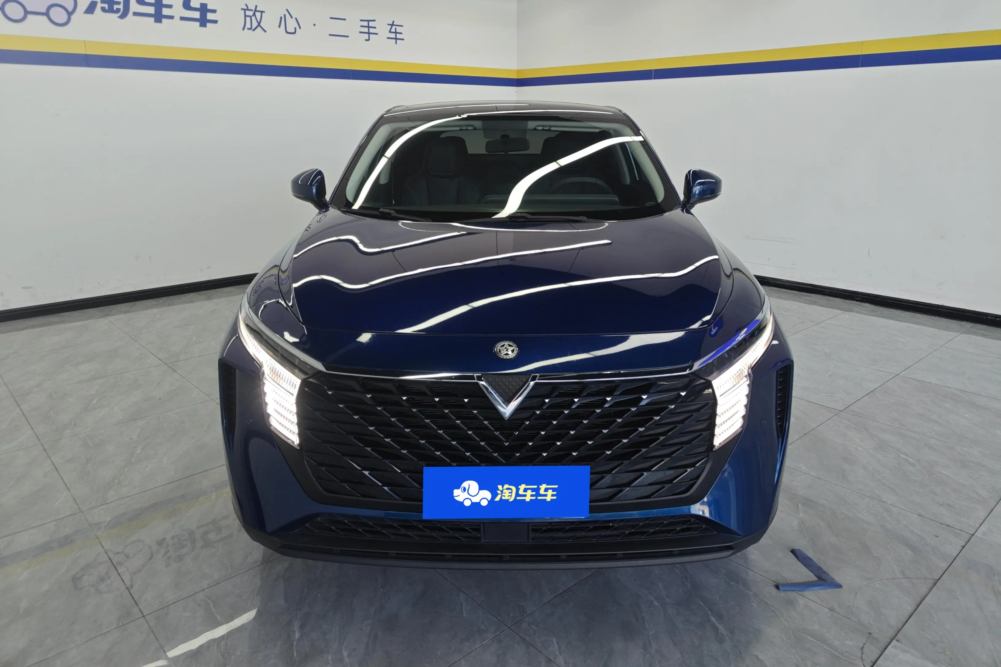 Kai Chen Venucia Big V  из Китая