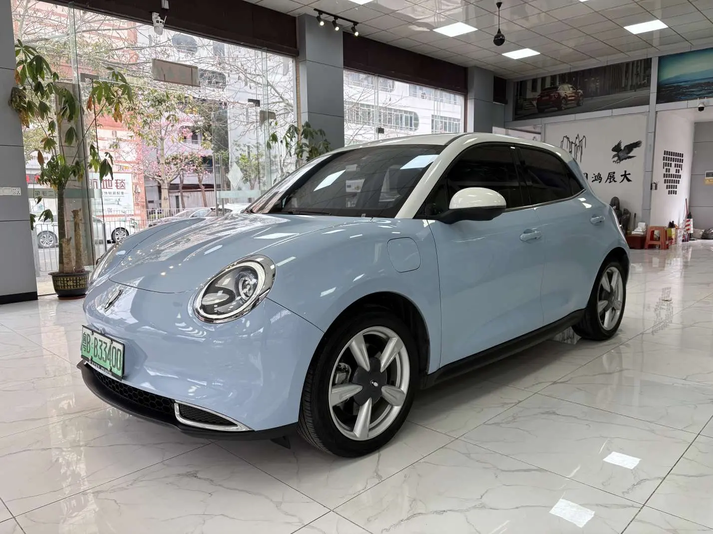 ORA Euler good cat  из Китая