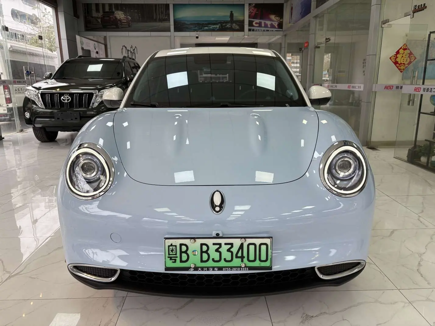 ORA Euler good cat  из Китая