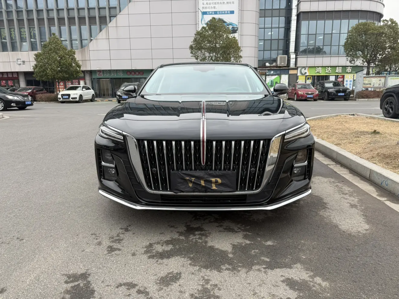 Hongqi H5  из Китая