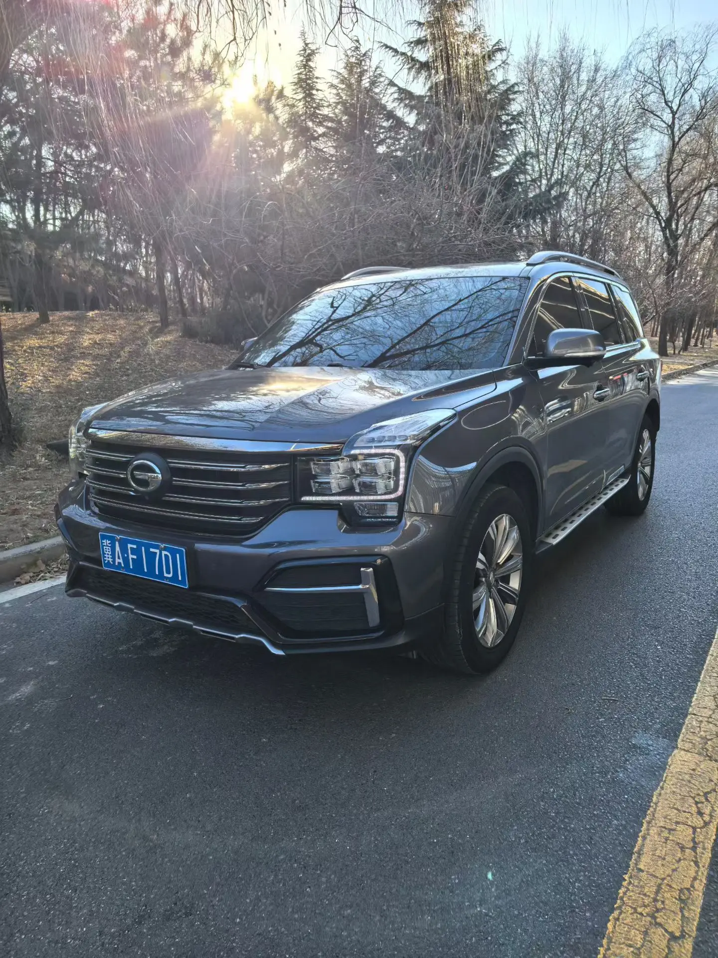 GAC Trumpchi GS8  из Китая