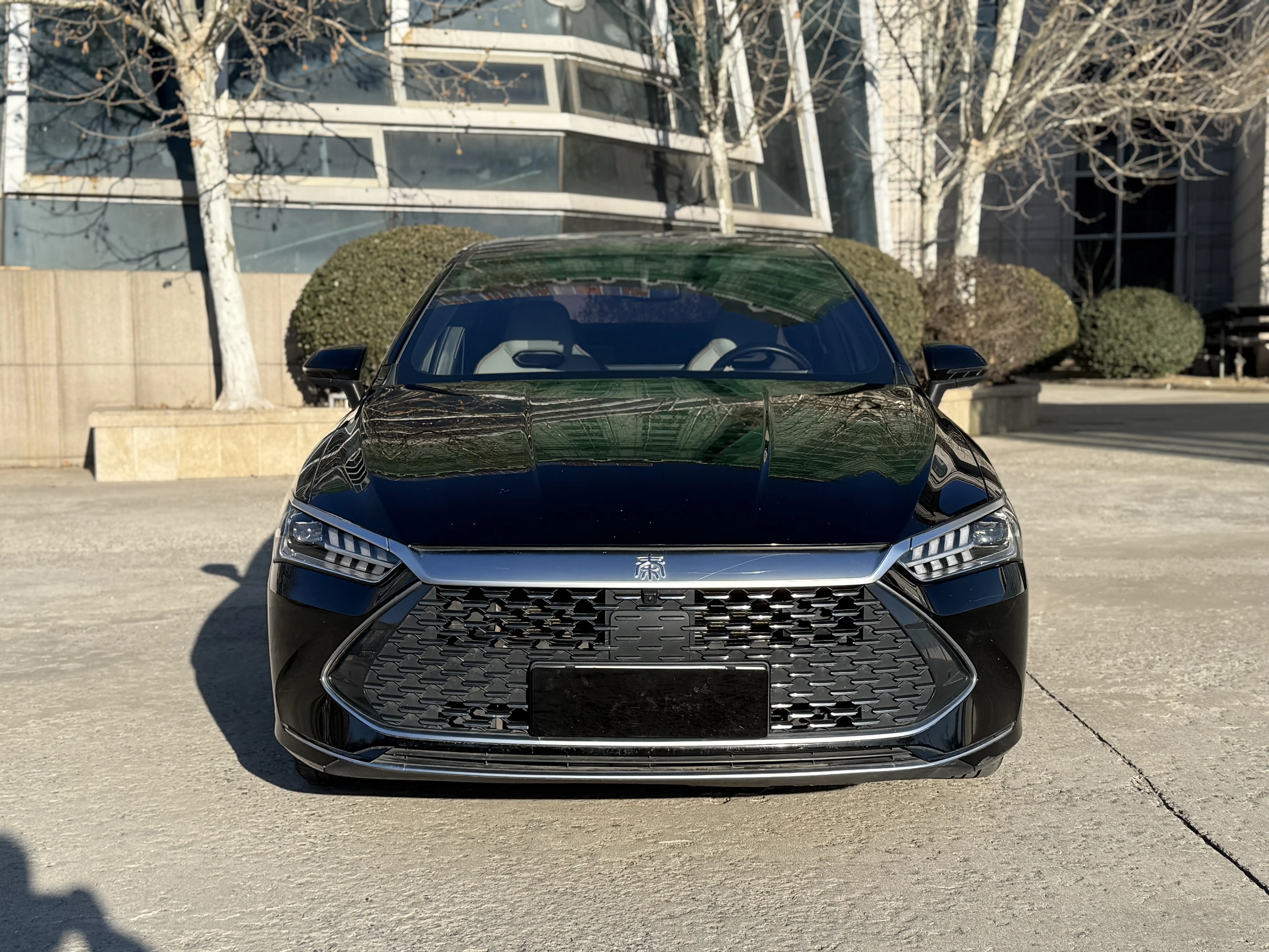 BYD Qin PLUS DM  из Китая