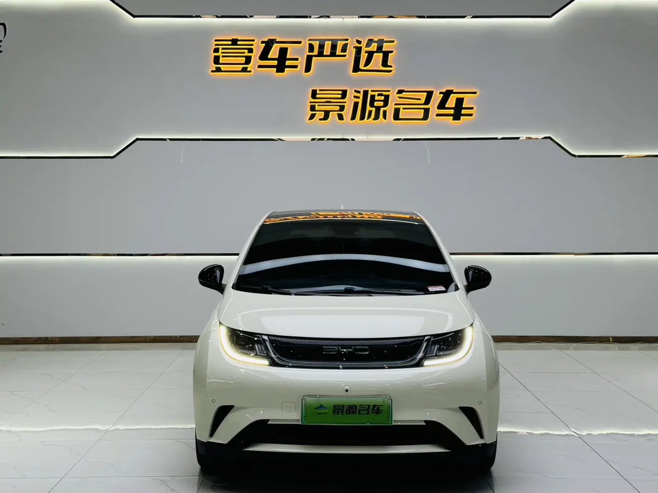 BYD Dolphin  из Китая