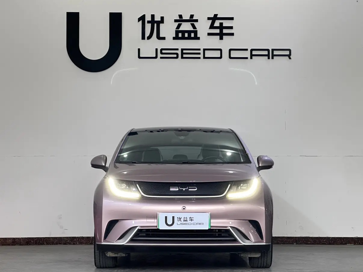 BYD Dolphin  из Китая