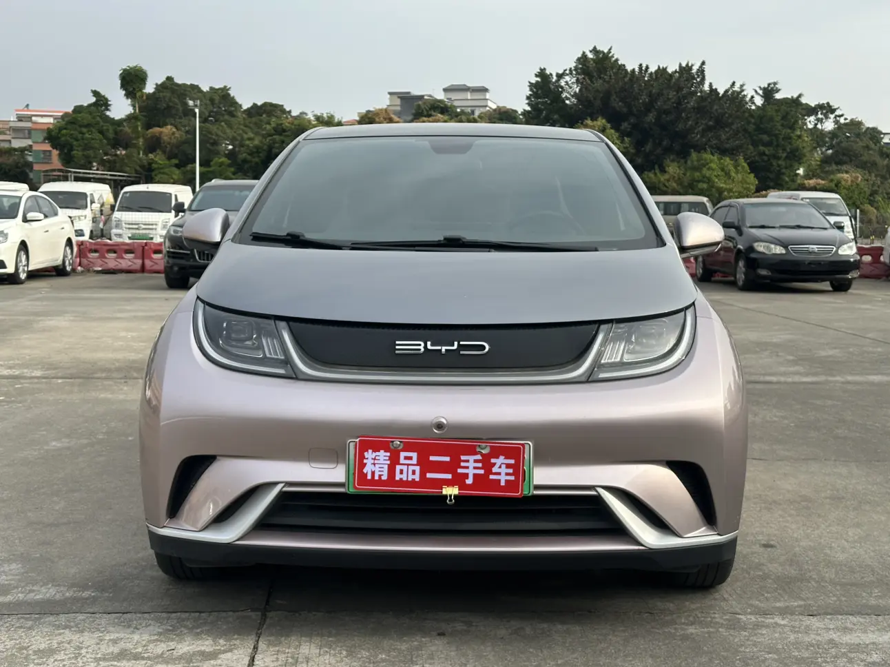 BYD Dolphin  из Китая