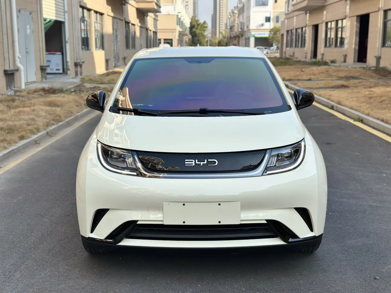 BYD Dolphin  из Китая