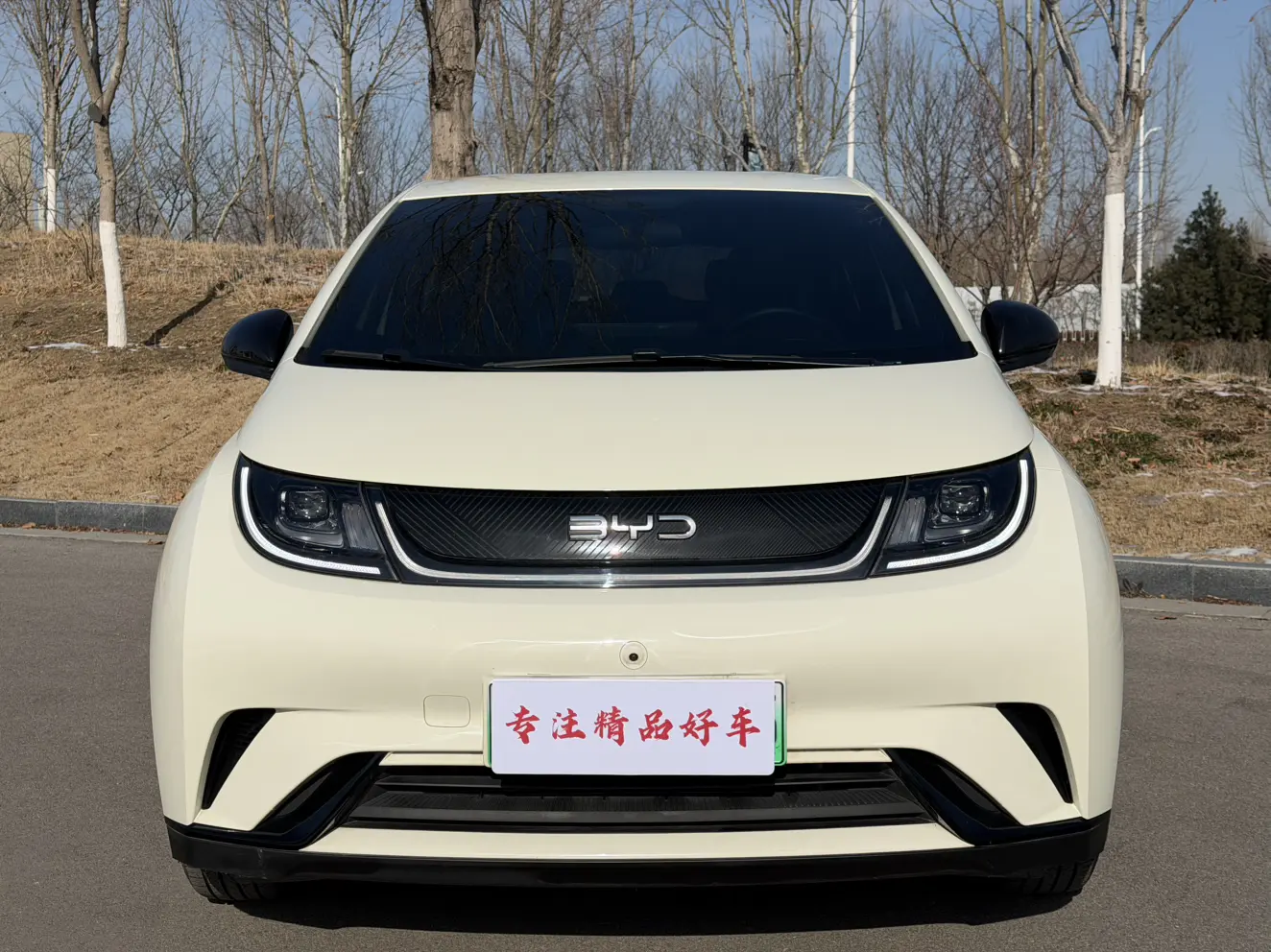 BYD Dolphin  из Китая