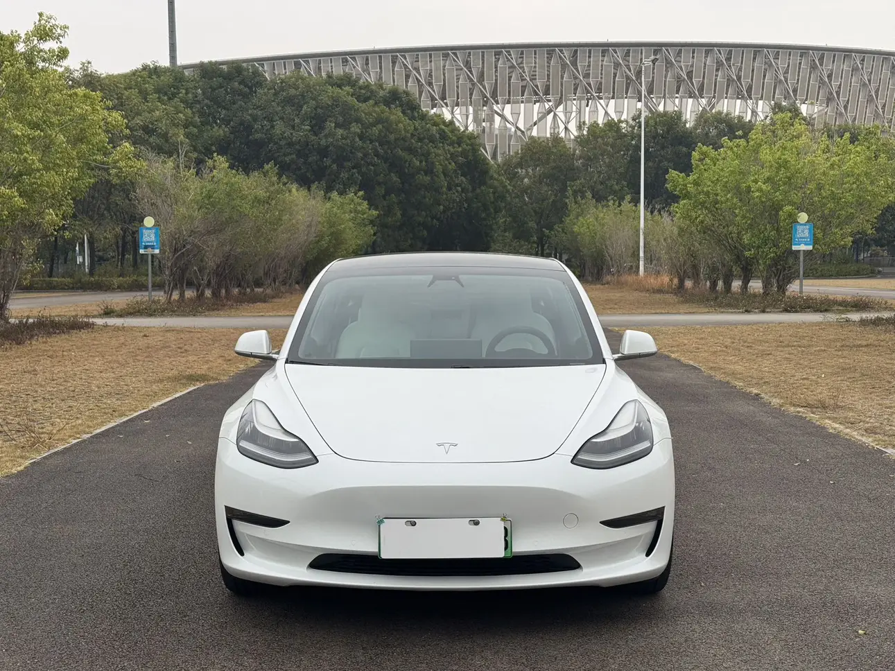 Tesla Model 3  из Китая