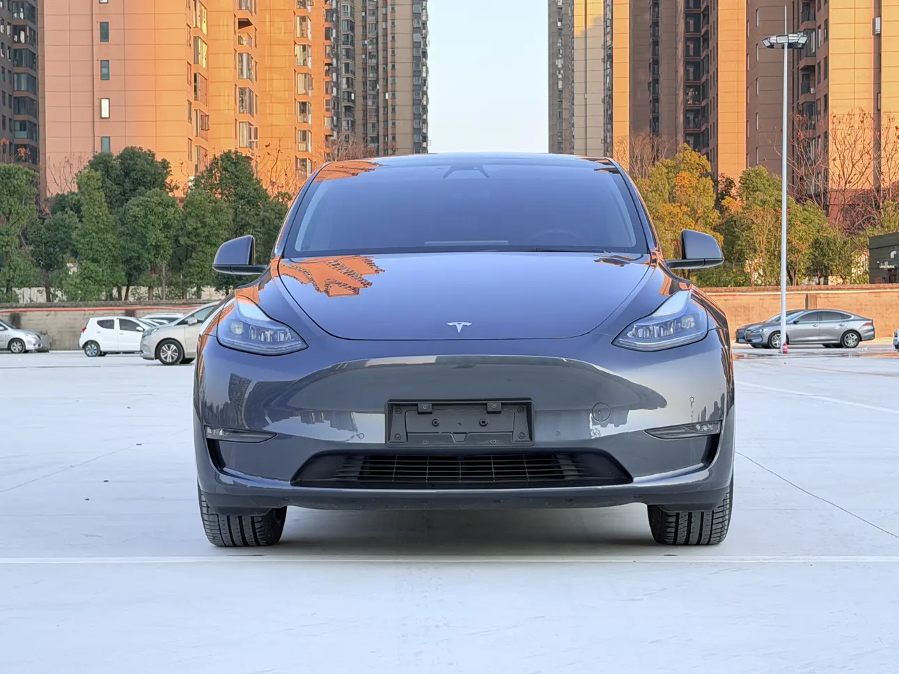 Tesla Model Y  из Китая