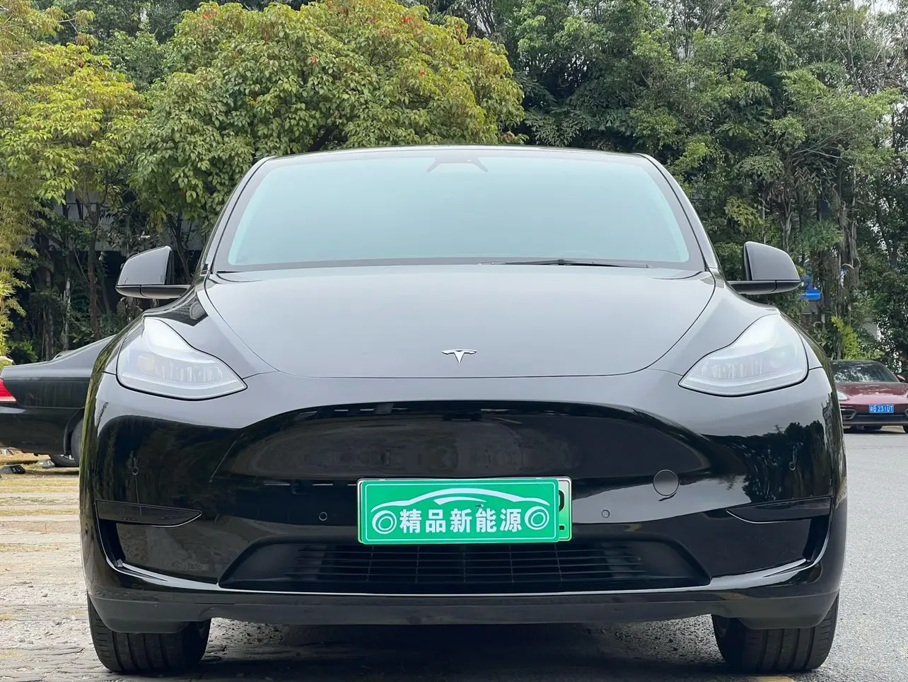 Tesla Model Y  из Китая