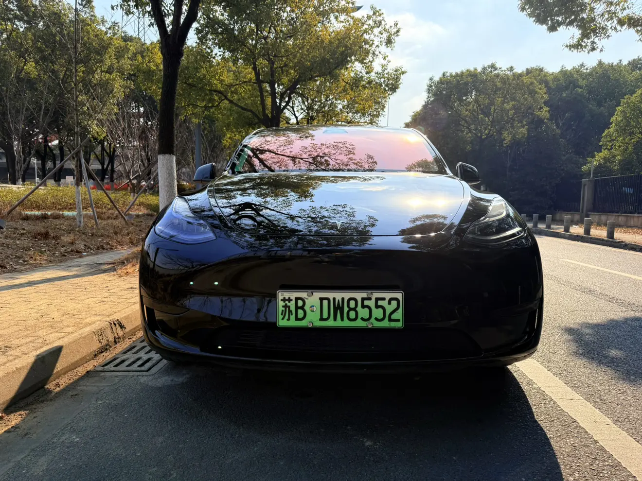 Tesla Model Y  из Китая