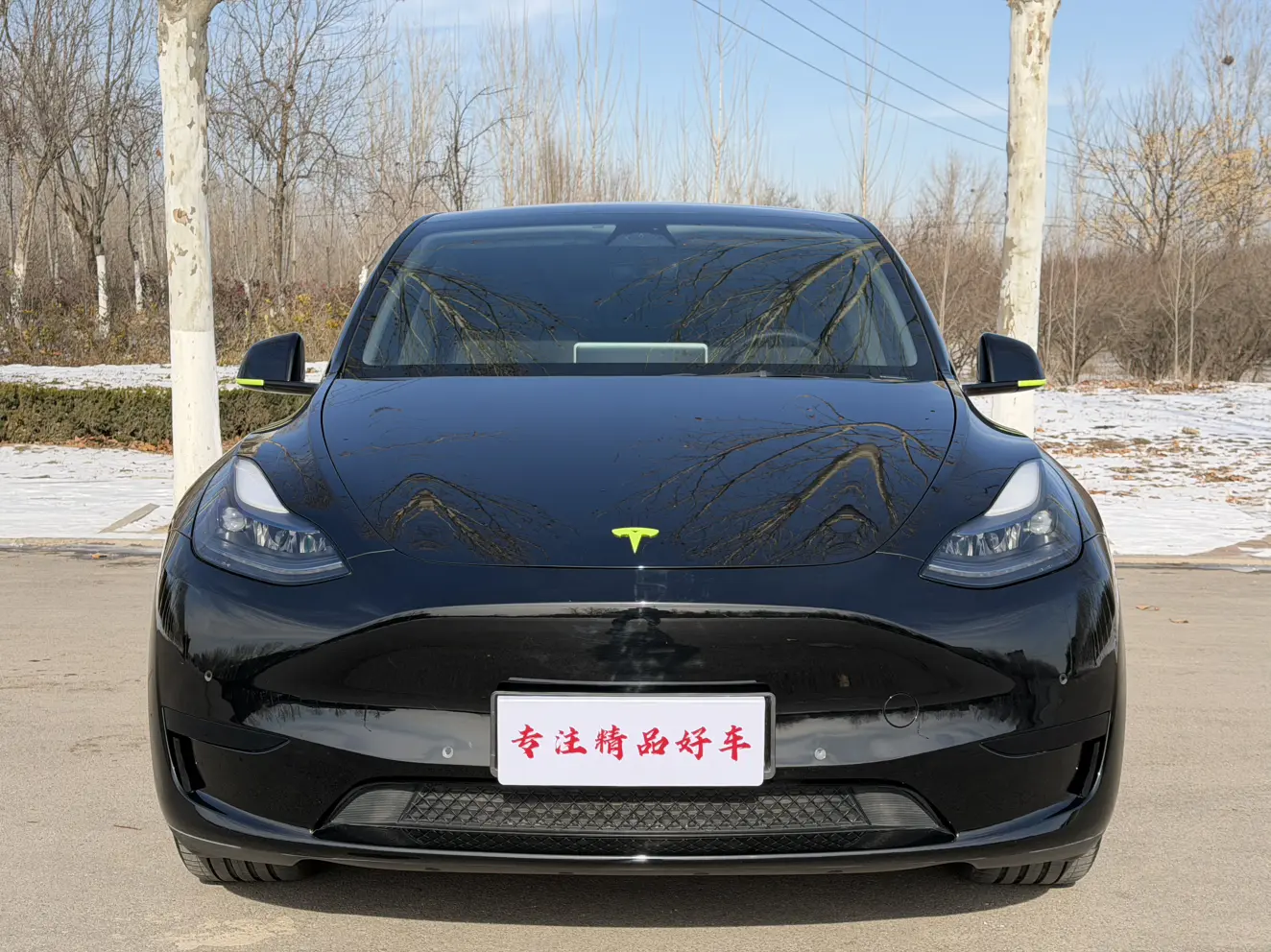 Tesla Model Y  из Китая