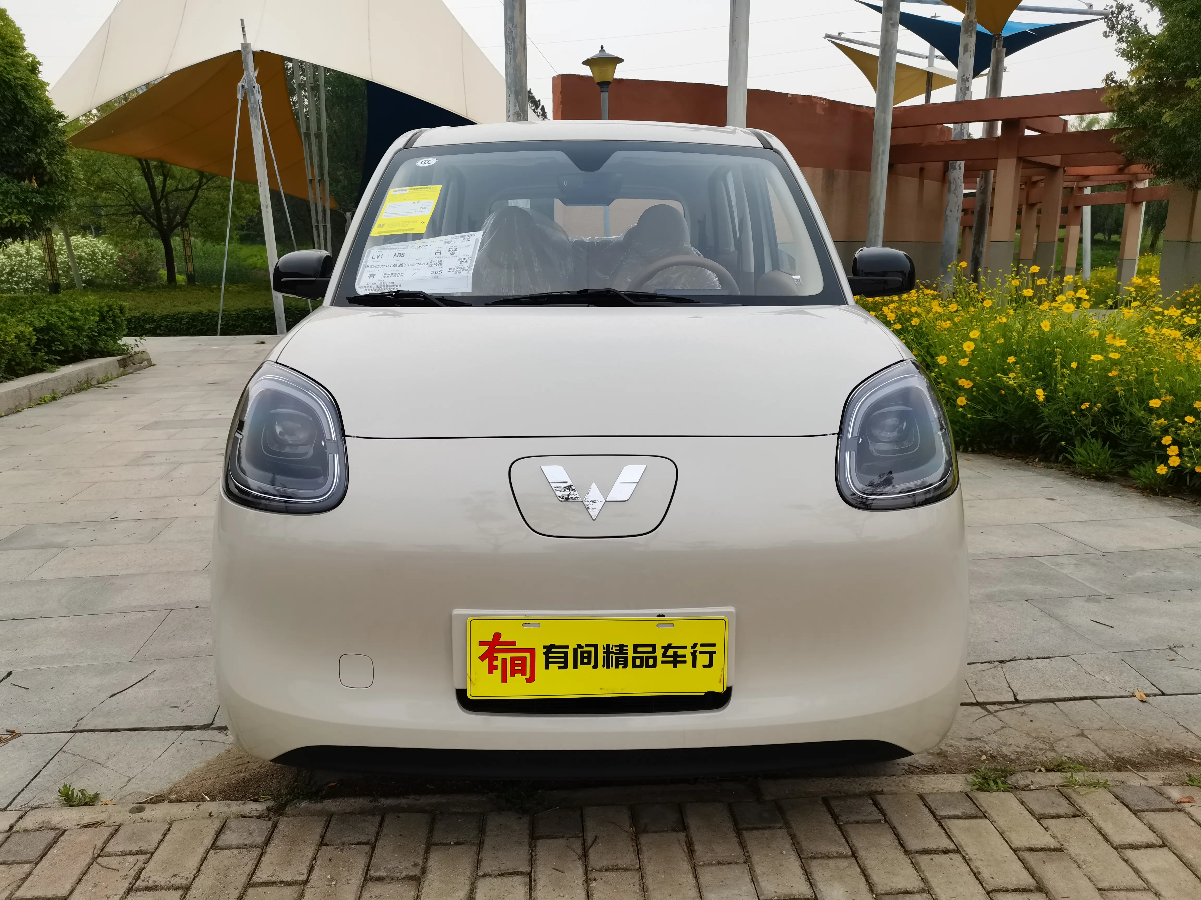 Wuling Hongguang MINIEV  из Китая