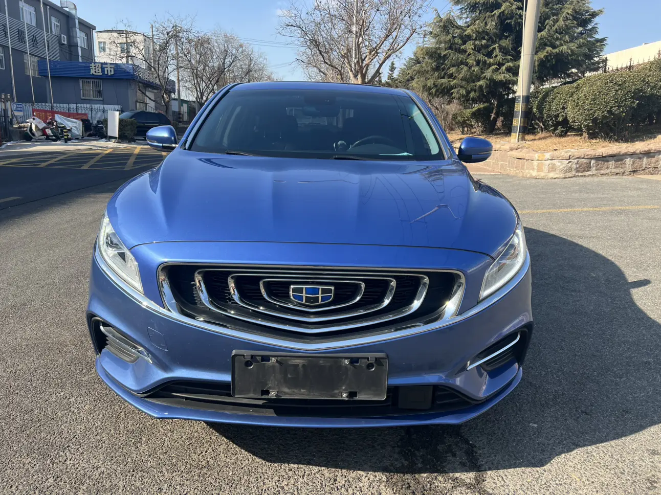 Geely Borui ePro  из Китая