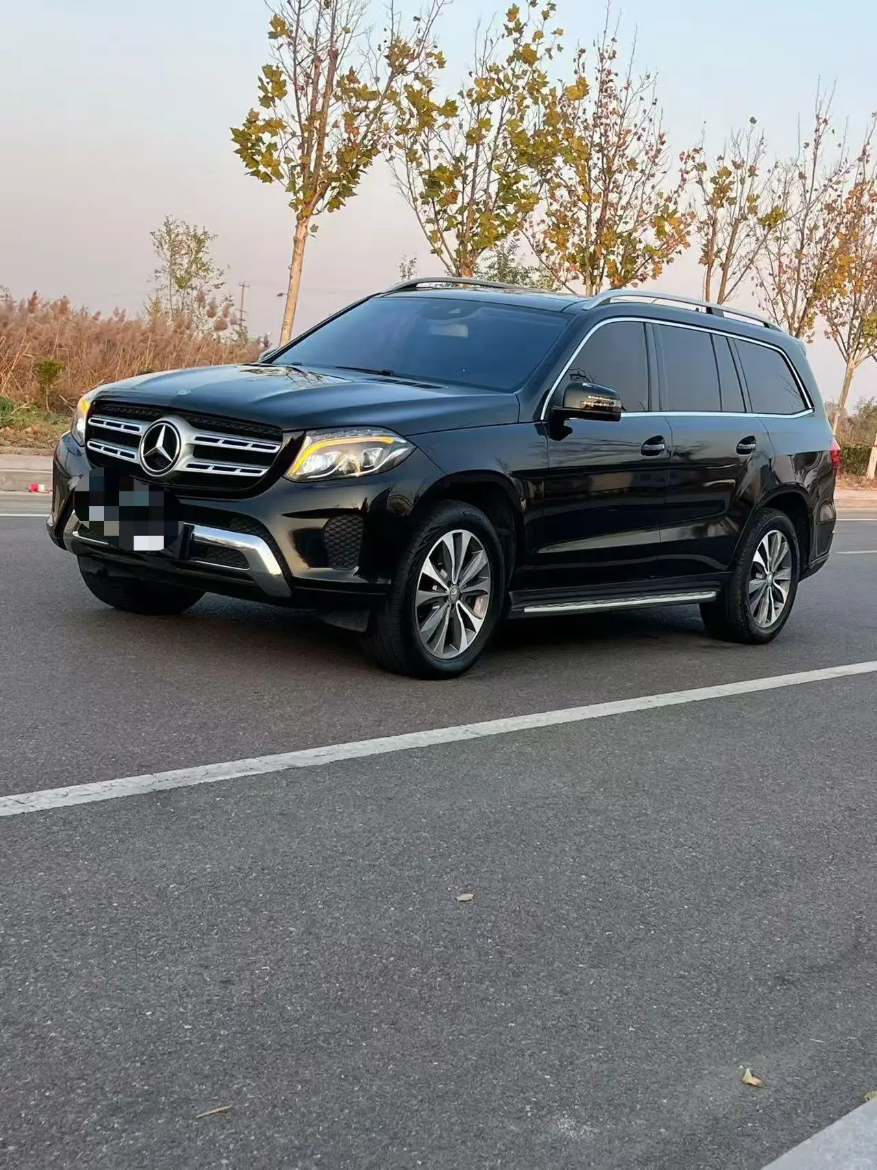Mercedes-Benz Mercedes Benz GLS  из Китая