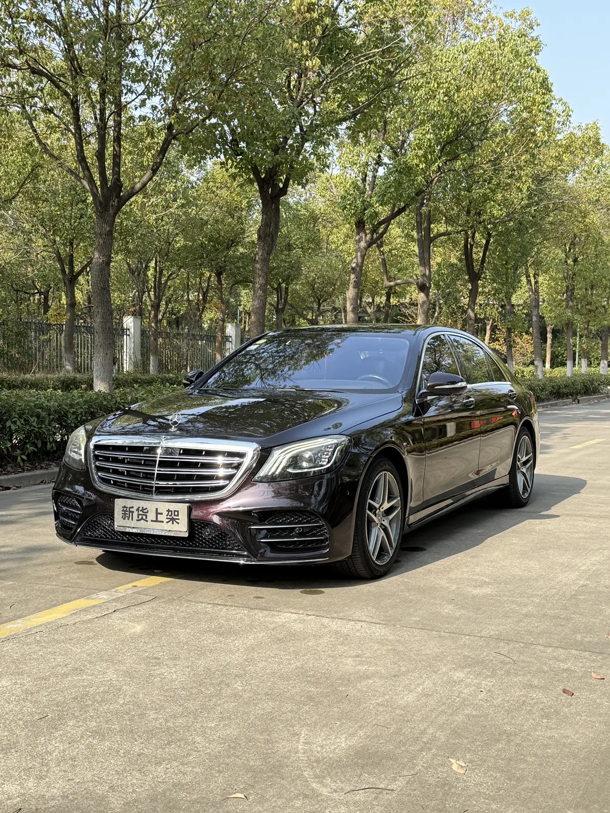 Mercedes-Benz Mercedes Benz S Class  из Китая