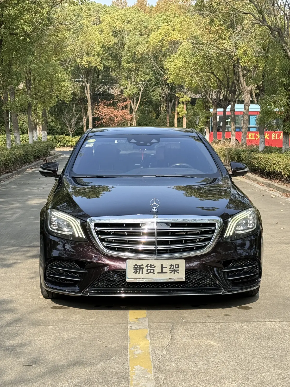 Mercedes-Benz Mercedes Benz S Class  из Китая