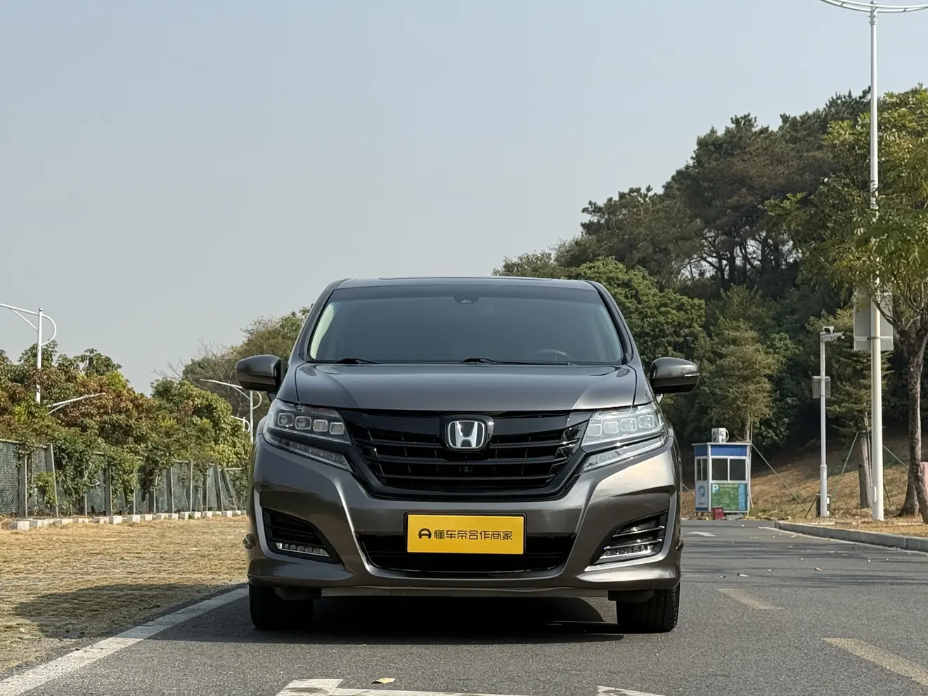 Honda Elysion (Alison)  из Китая