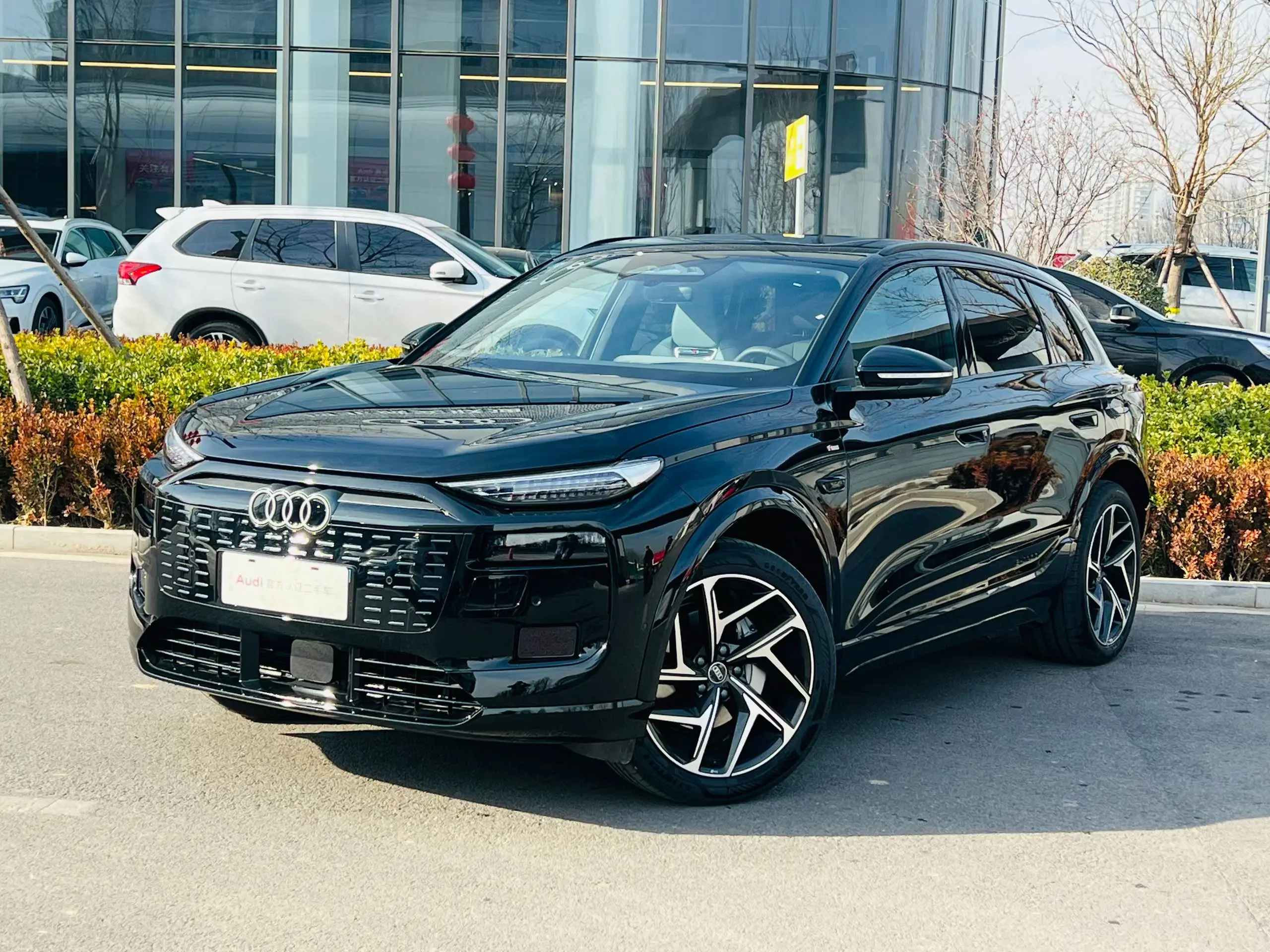 Audi Q6L e-tron  из Китая