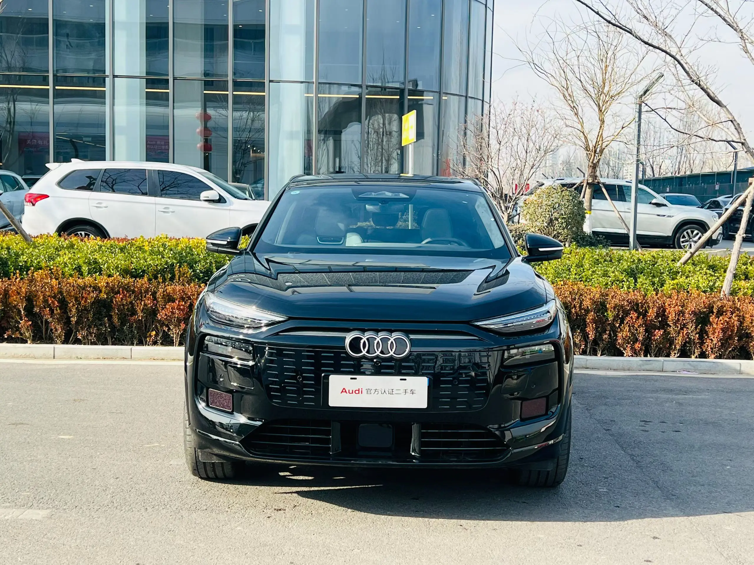 Audi Q6L e-tron  из Китая