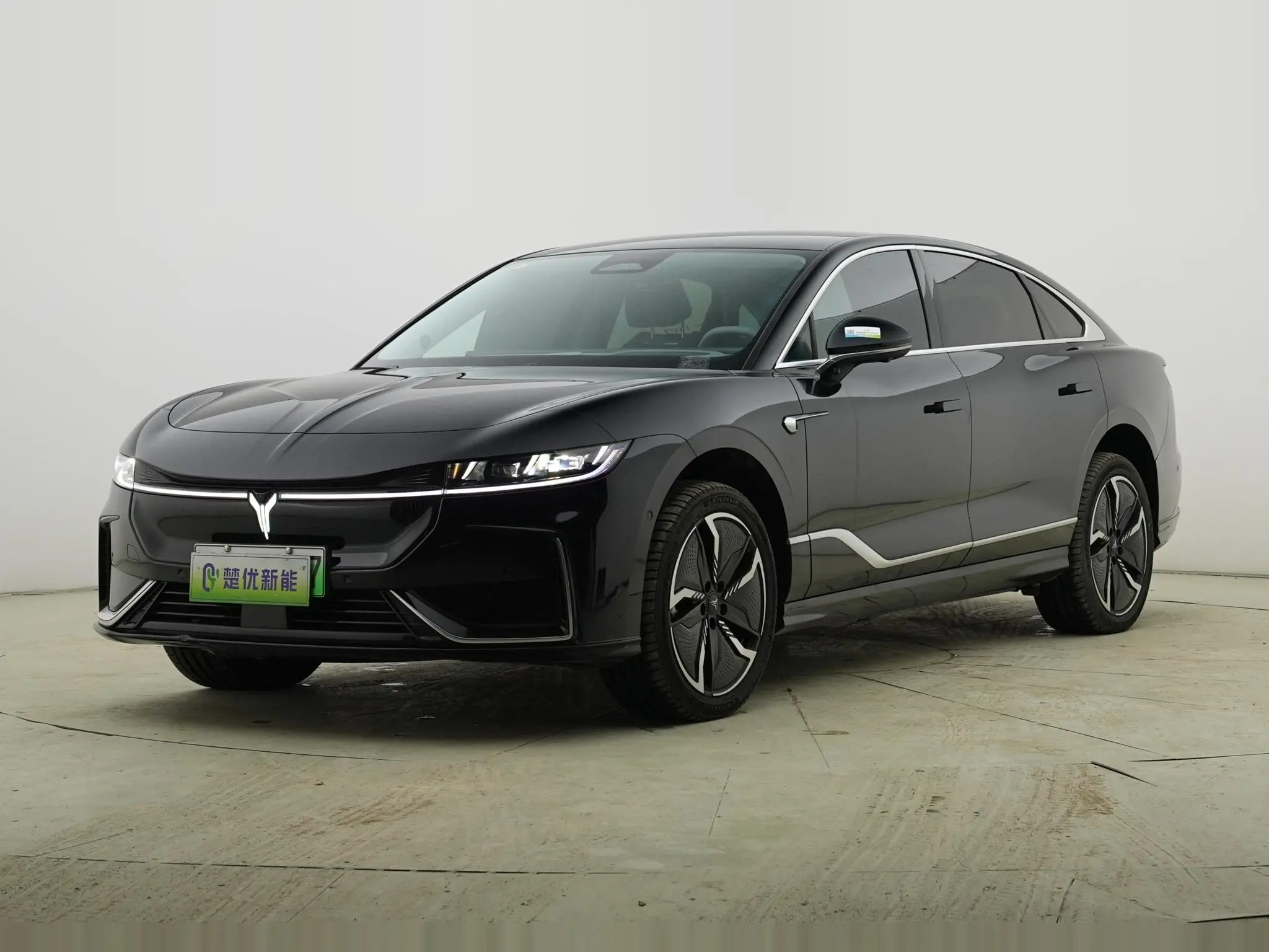 Voyah Passion EV  из Китая