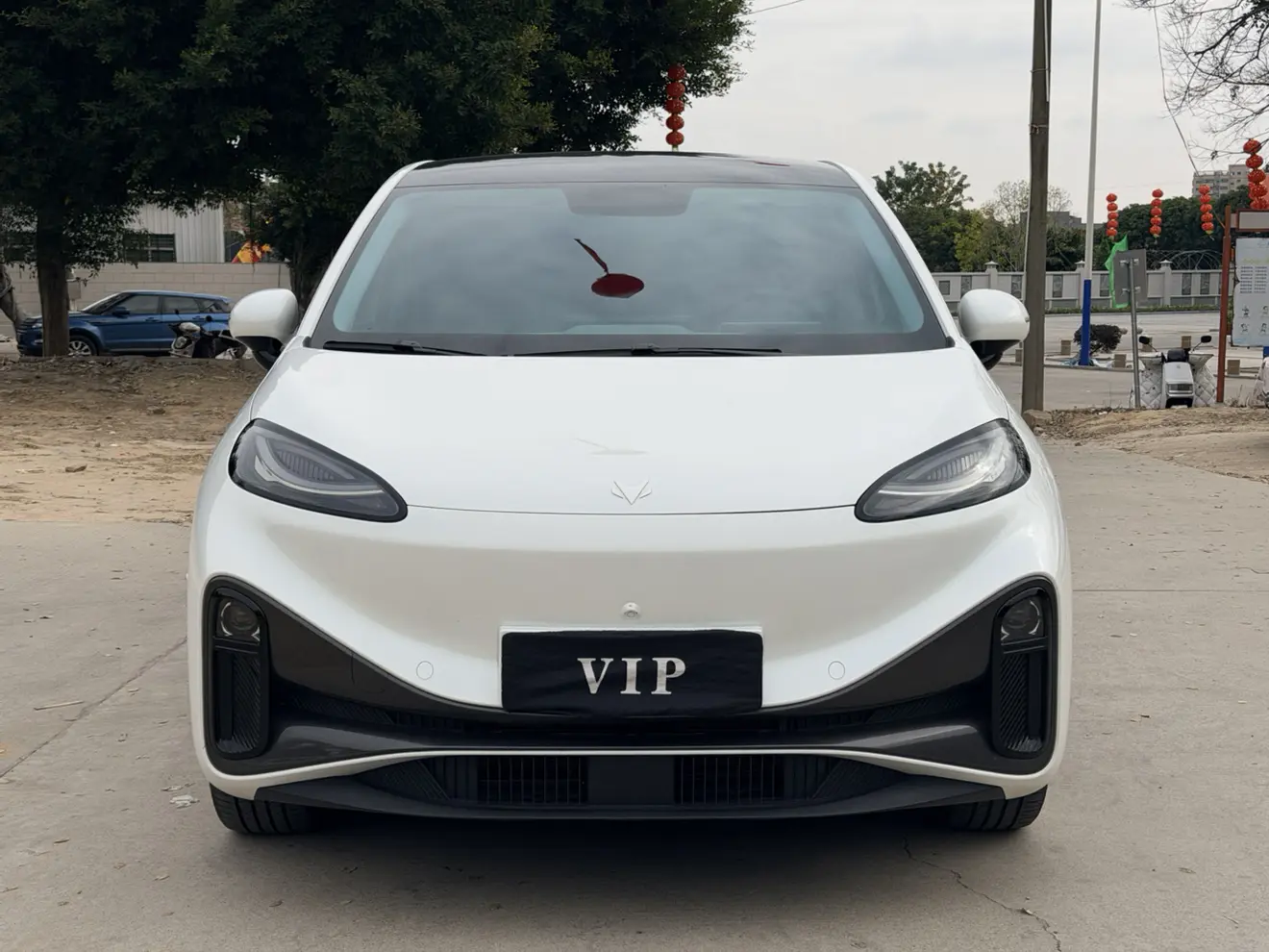 ARCFOX Extreme Fox Arctic Fox Koala S  из Китая