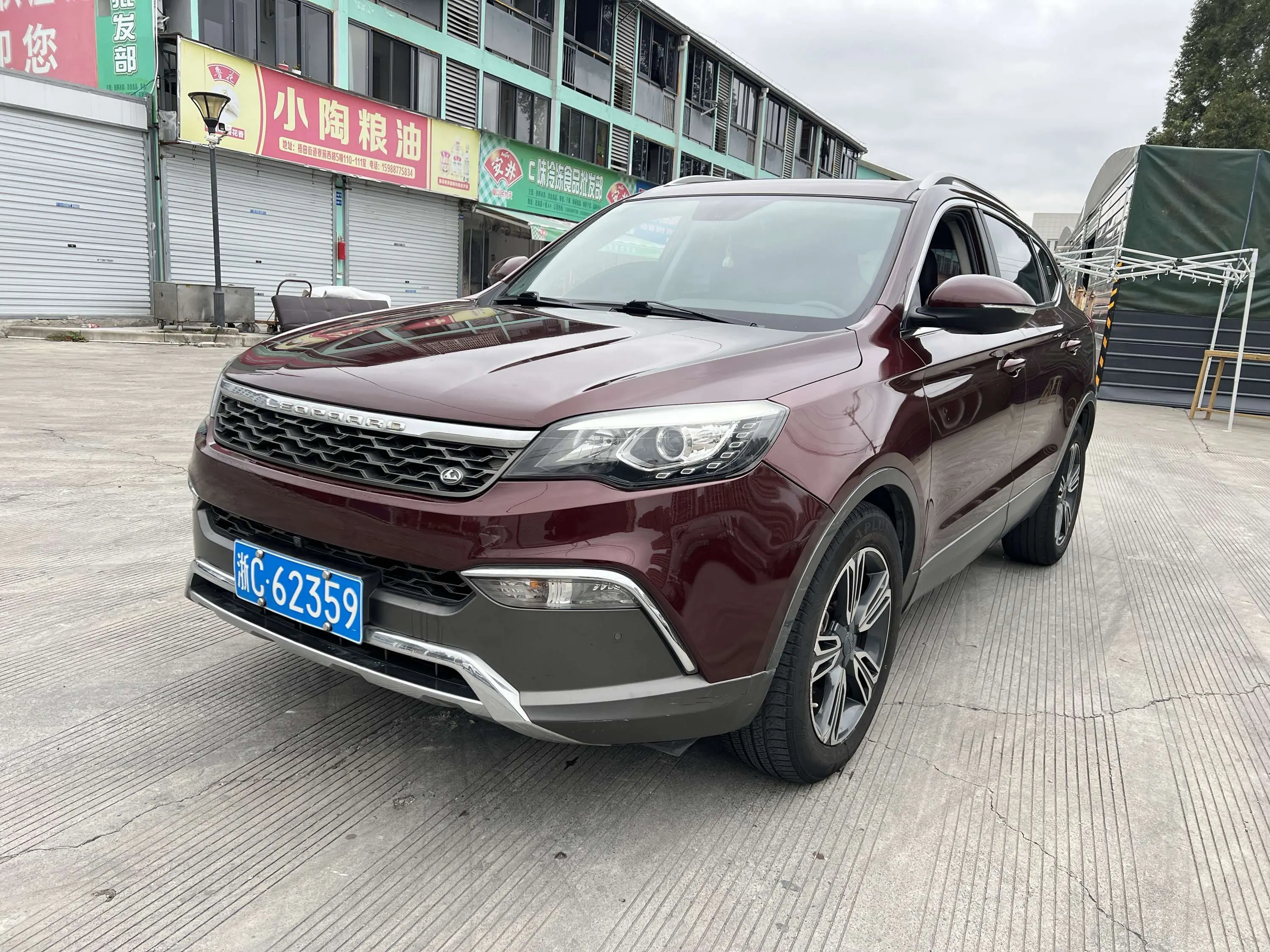 Cheetah cars Cheetah CS10  из Китая