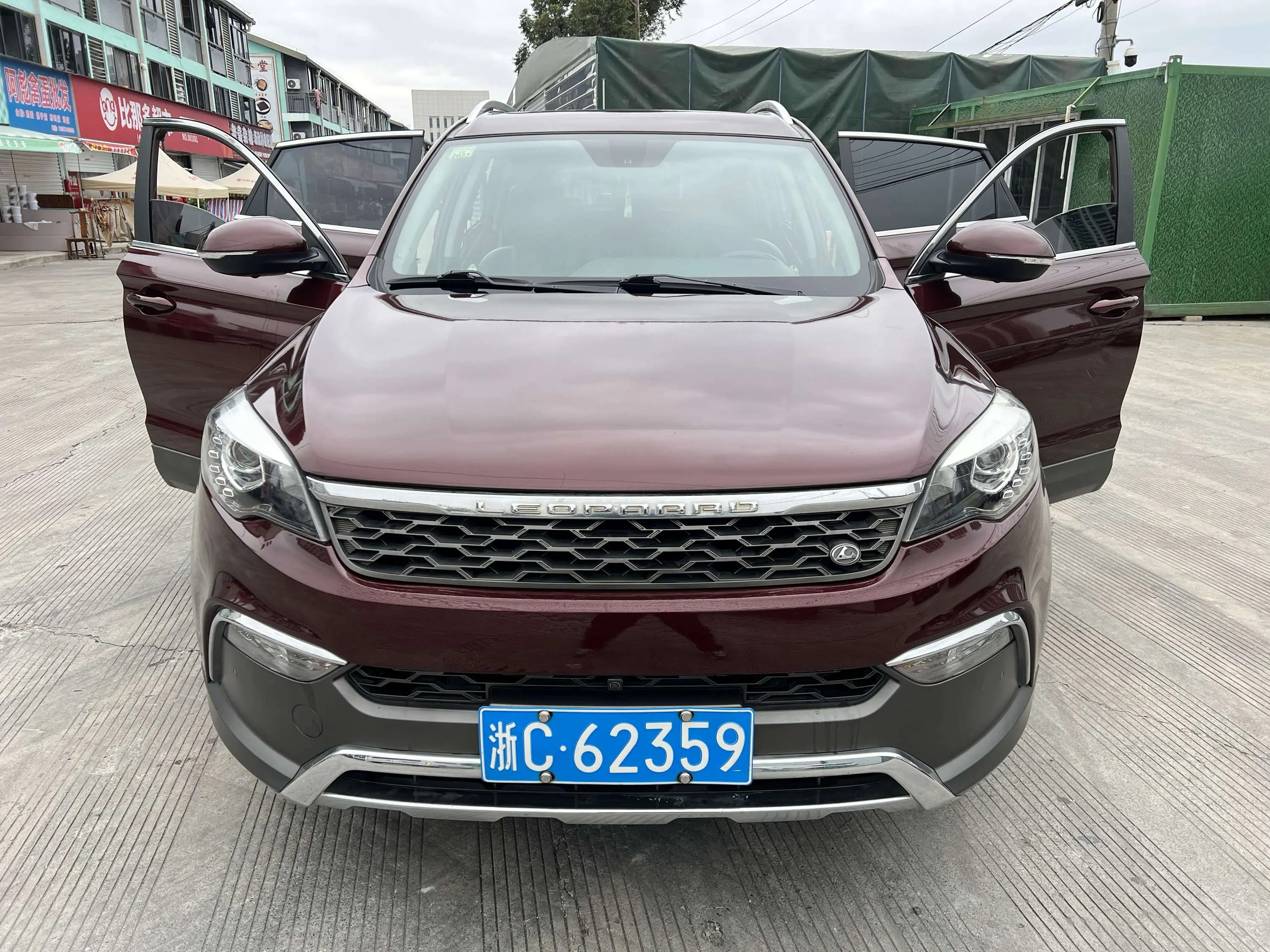 Cheetah cars Cheetah CS10  из Китая